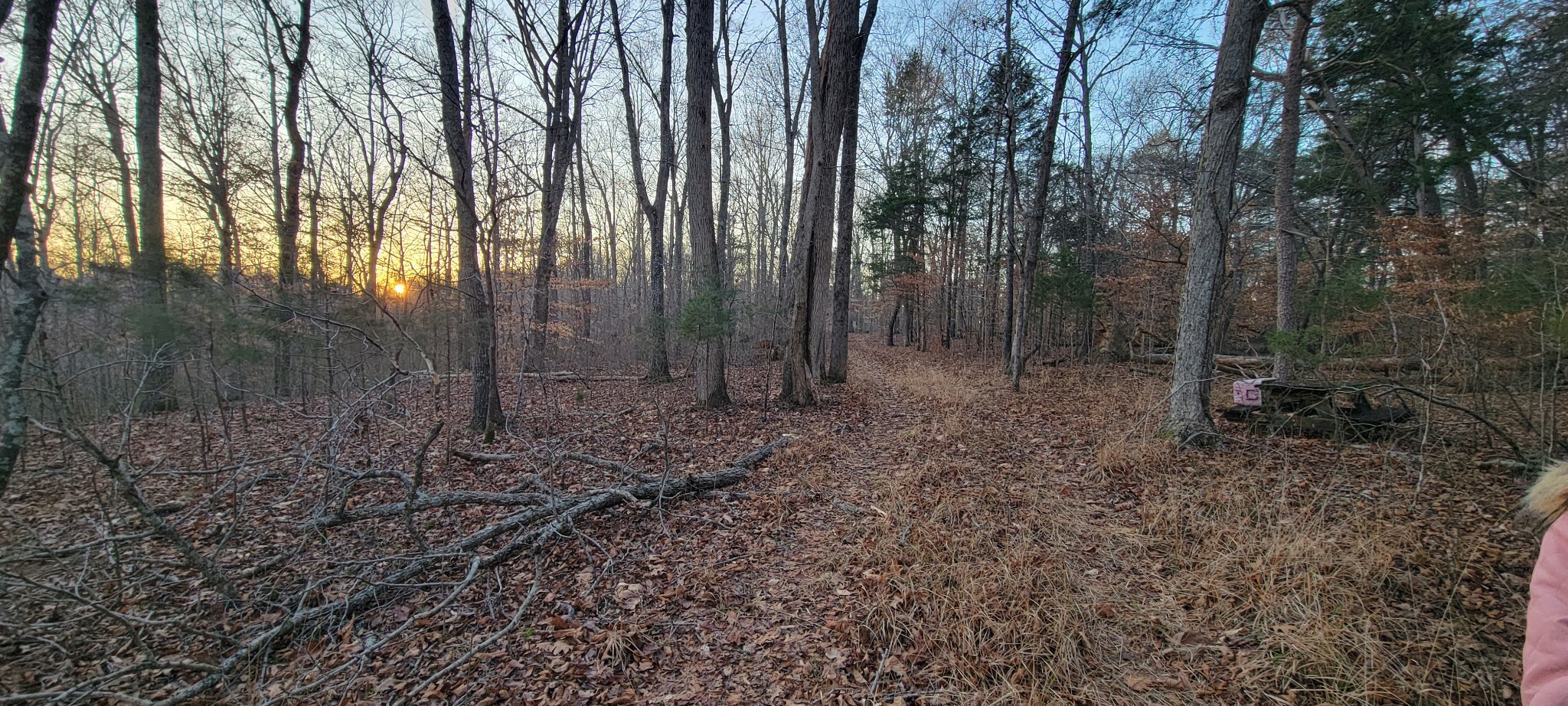 0 Old Lock A Road Charlotte, TN 37036 - Photo 6 of 31 a view of outdoor space with green space