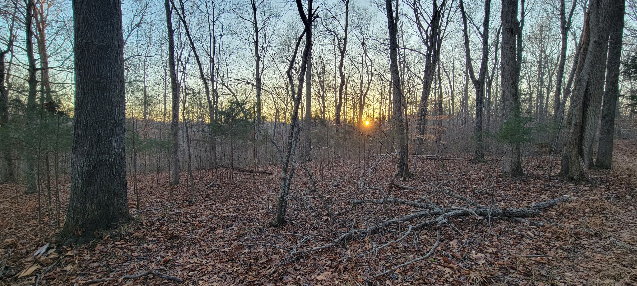 0 Old Lock A Road Charlotte, TN 37036 - Photo 8 of 31 a backyard of a house with lots of green space