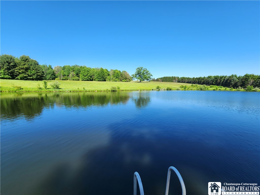 3539 Morley Road North Harmony, NY 14710 - Photo 3 of 35