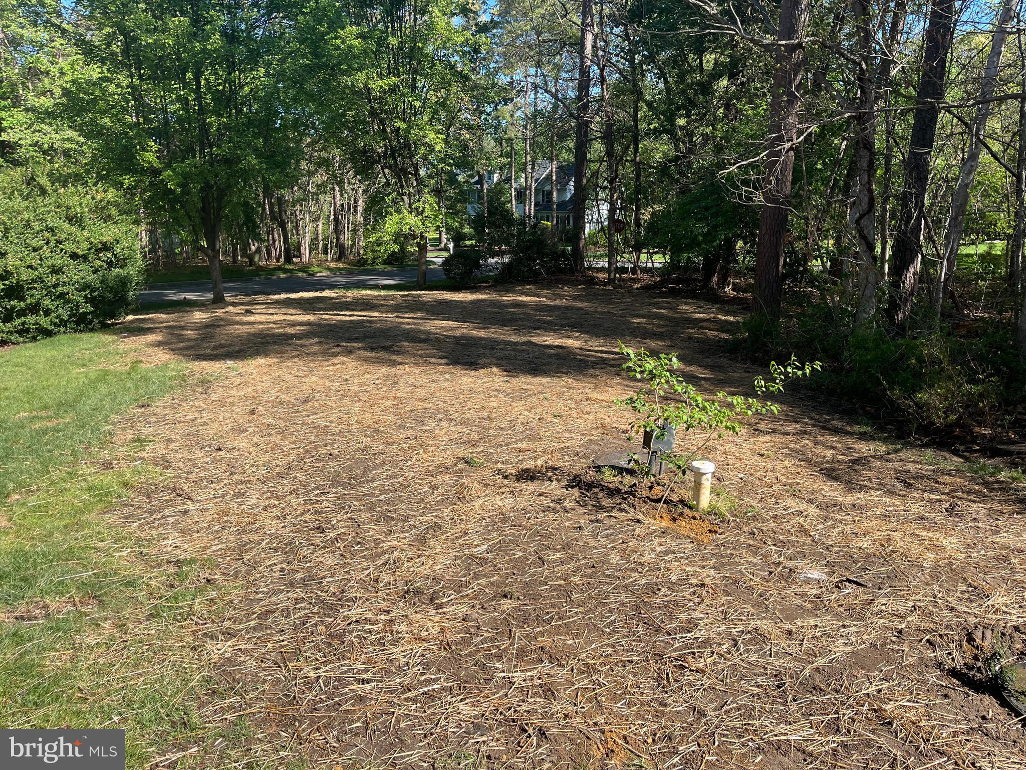 2 Teaberry Court Shamong, NJ 08088 - Photo 4 of 44 New Septic System