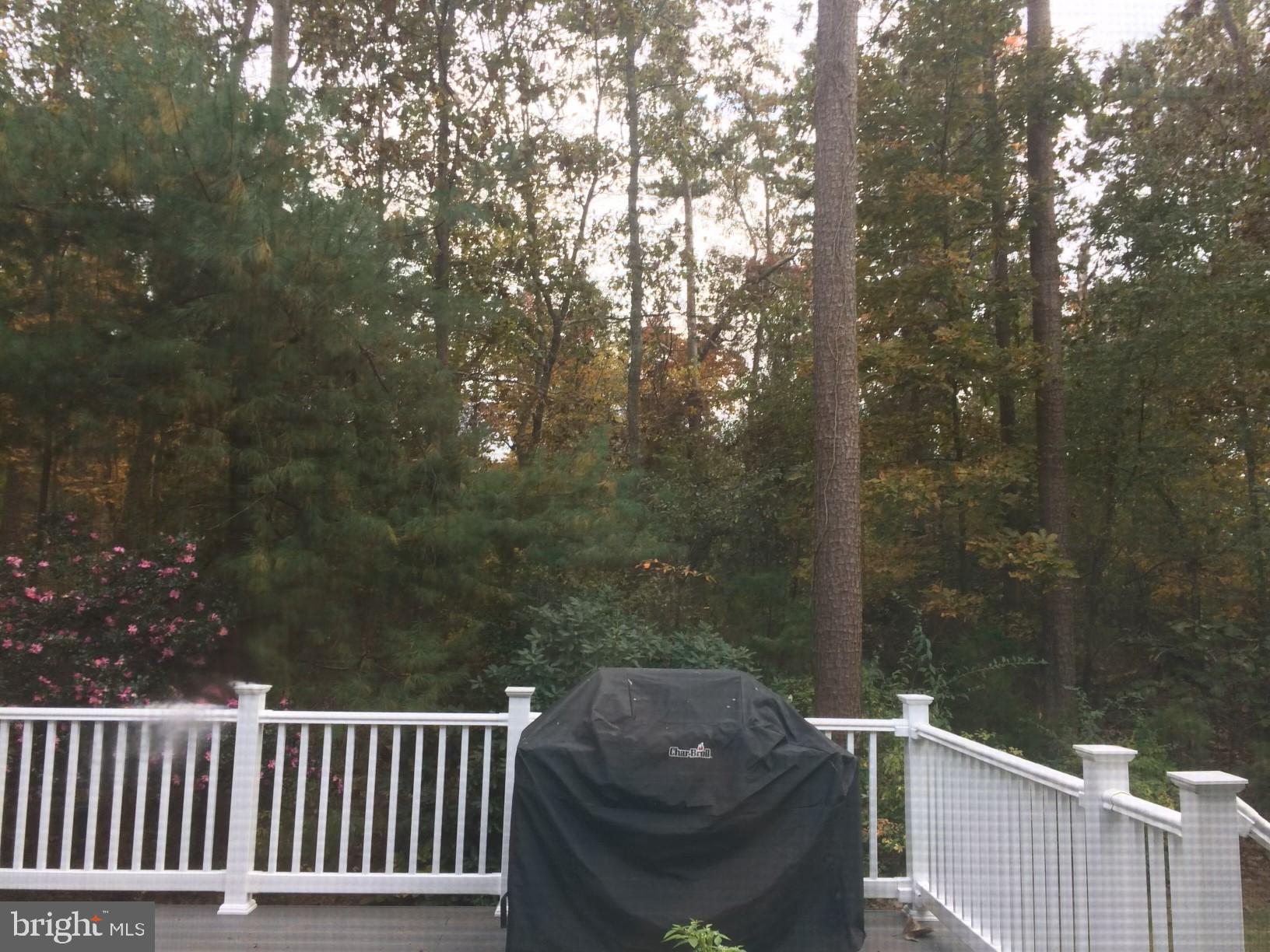 2 Teaberry Court Shamong, NJ 08088 - Photo 41 of 44 Deck View