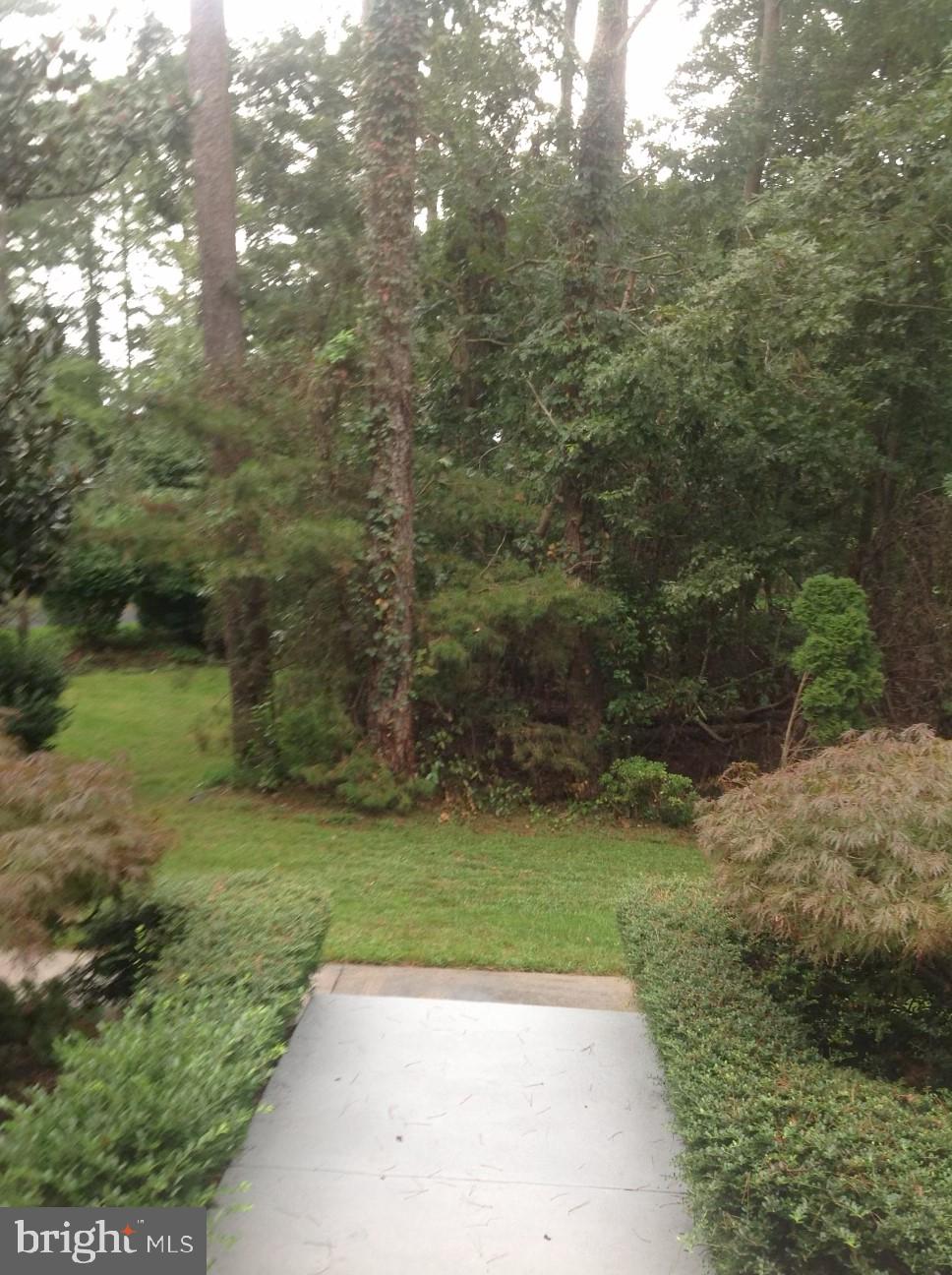 2 Teaberry Court Shamong, NJ 08088 - Photo 42 of 44 Forest View