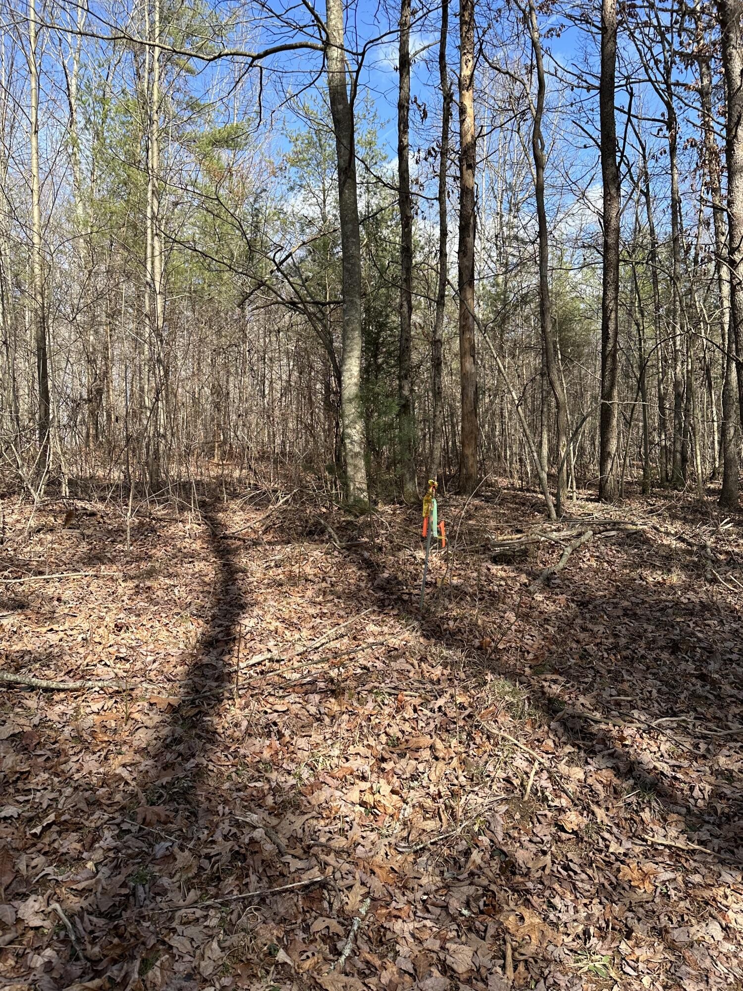 0 Suzanne Road Graysville, TN 37338 - Photo 2 of 6 Gallery Image 2