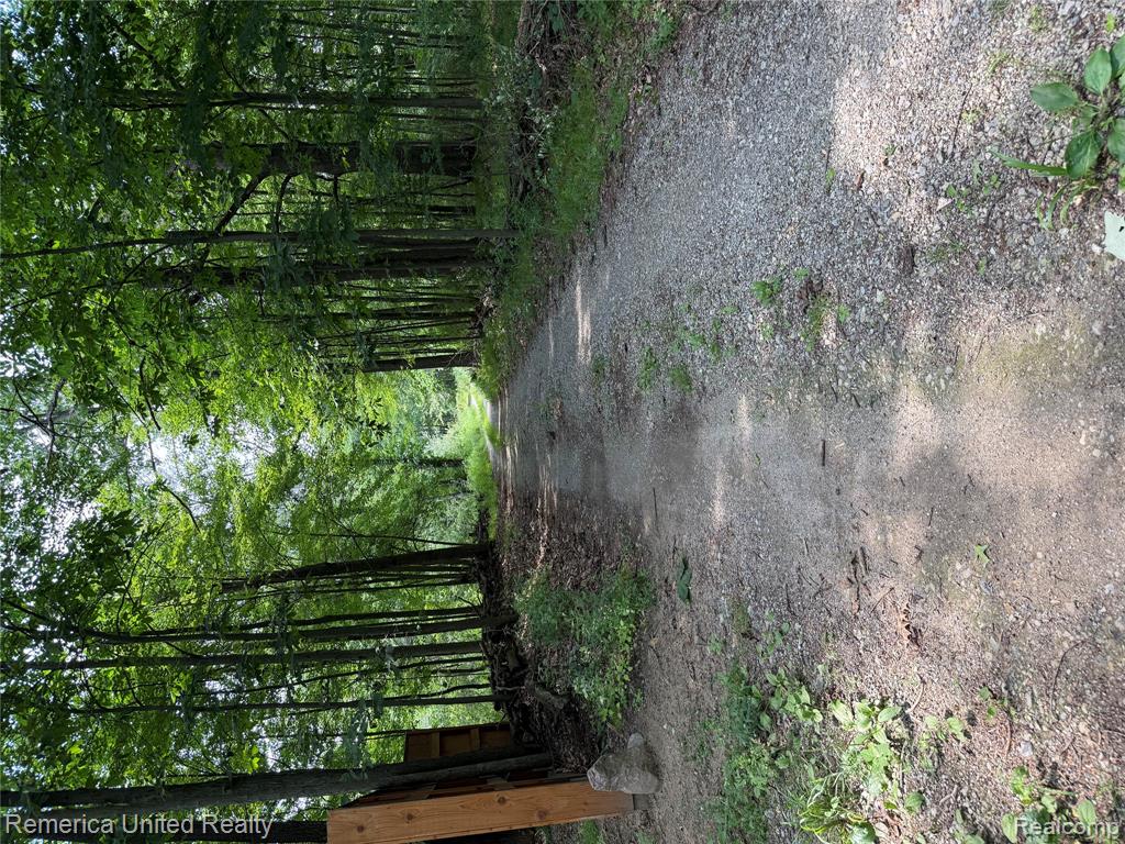 5550 Fisher Road Howell, MI 48855 - Photo 6 of 8