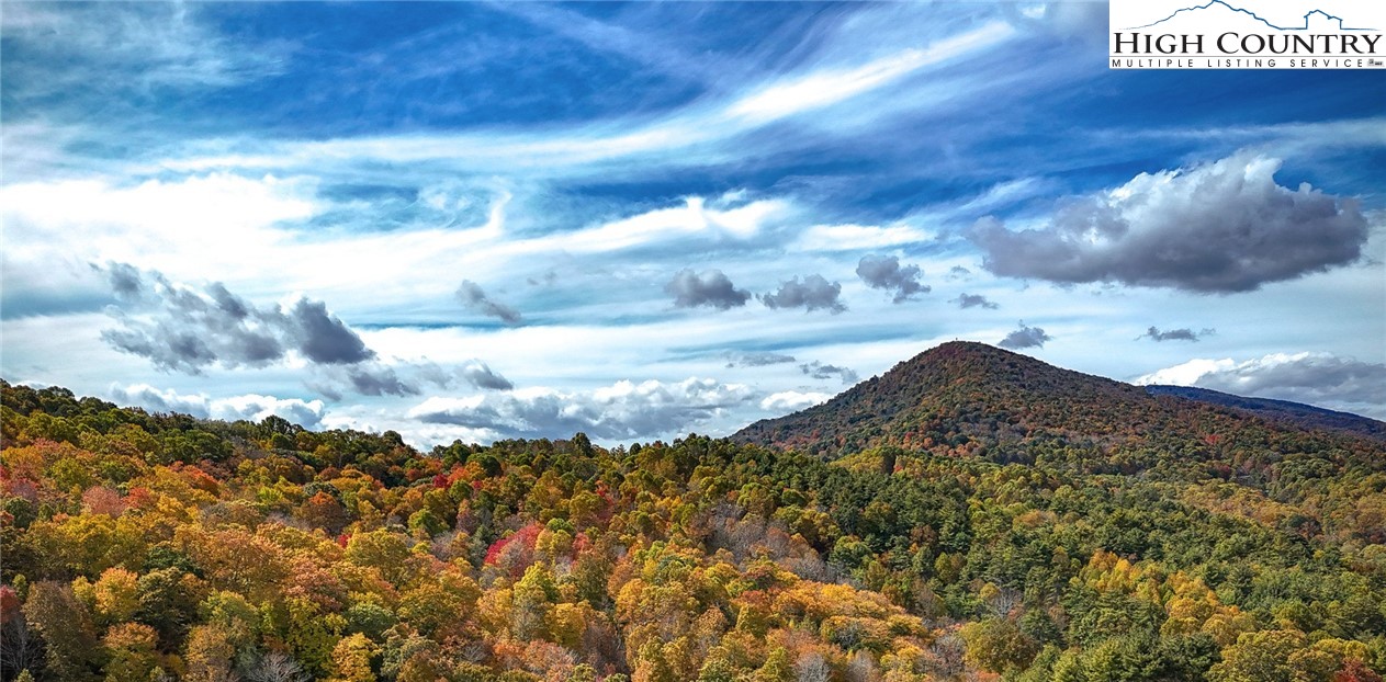142 Casey Overlook Lane, Unit 82 Boone, NC 28607 - Photo 40 of 43 a view of a big yard