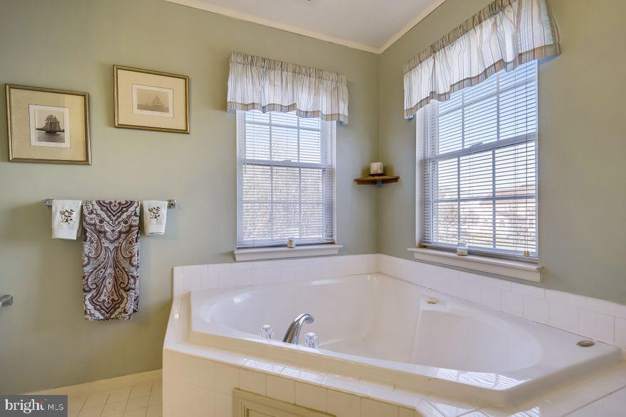 8220 Selwin Court Rosedale, MD 21237 - Photo 23 of 36 Master bath