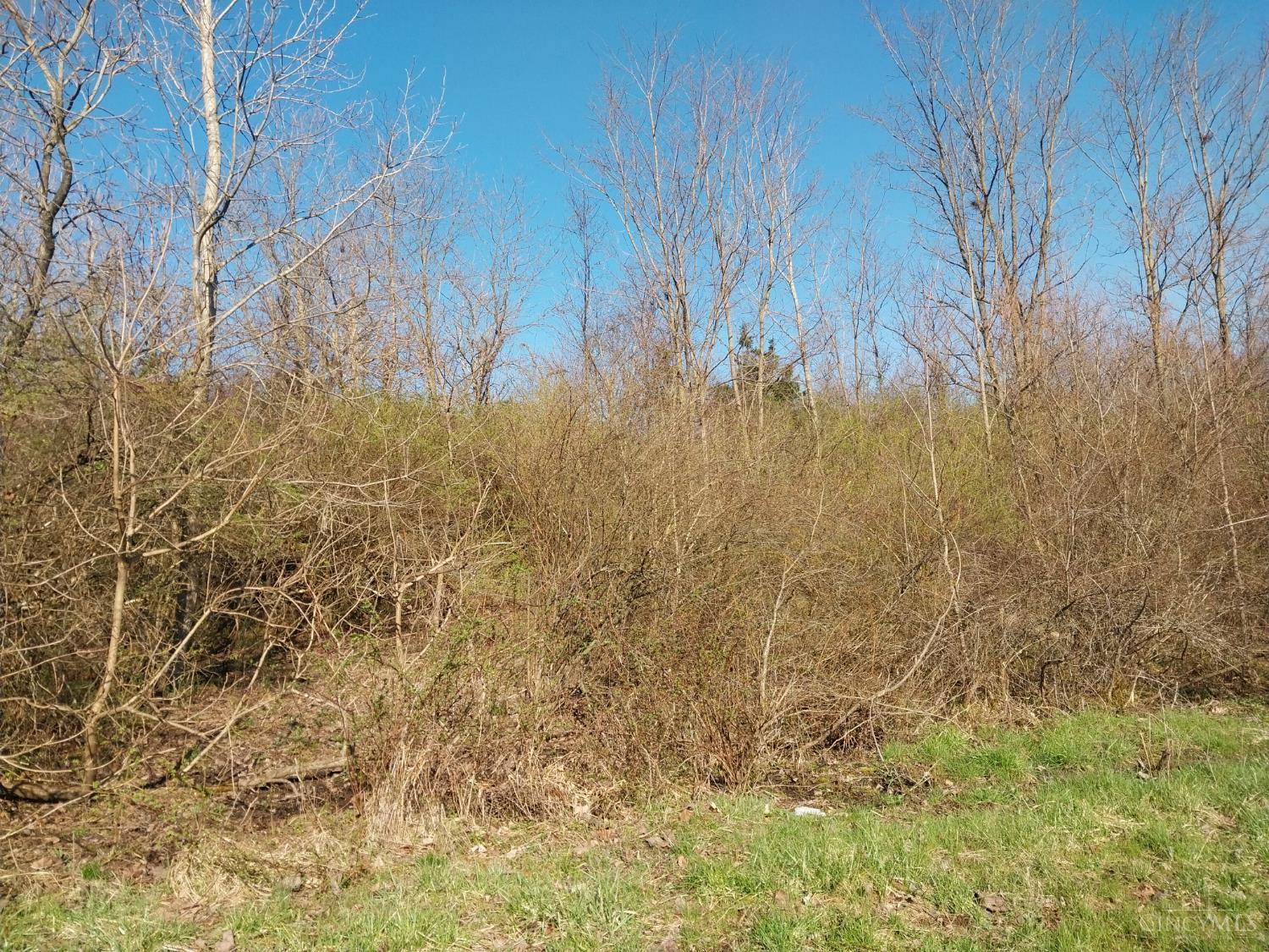 0 Briggs Road Greenfield, OH 45123 - Photo 3 of 5 Gallery Image 3
