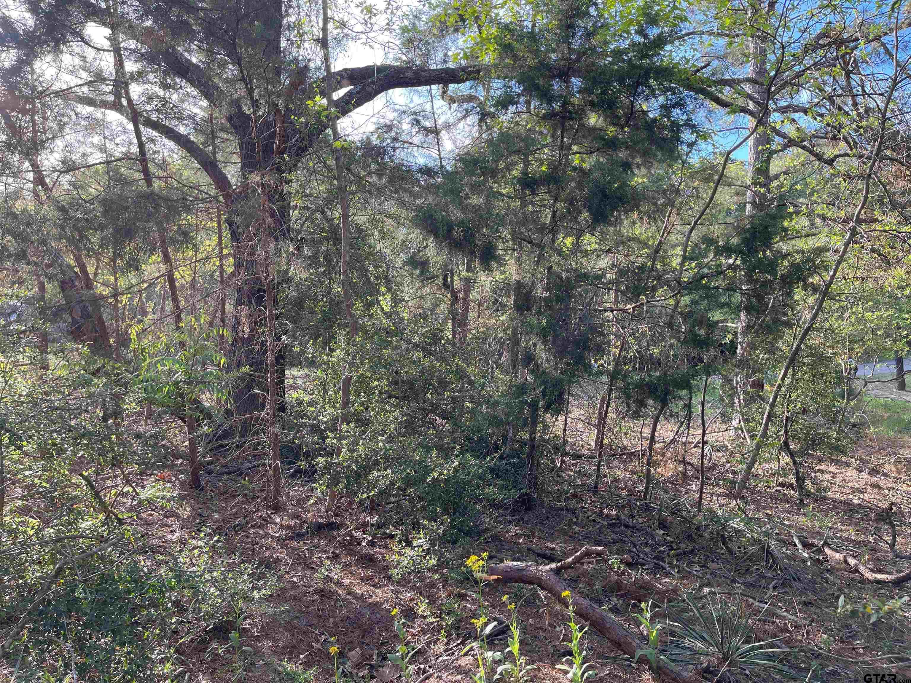 Tbd Lot 382 Tbd Holly Lake Ranch, TX 75765 - Photo 11 of 30