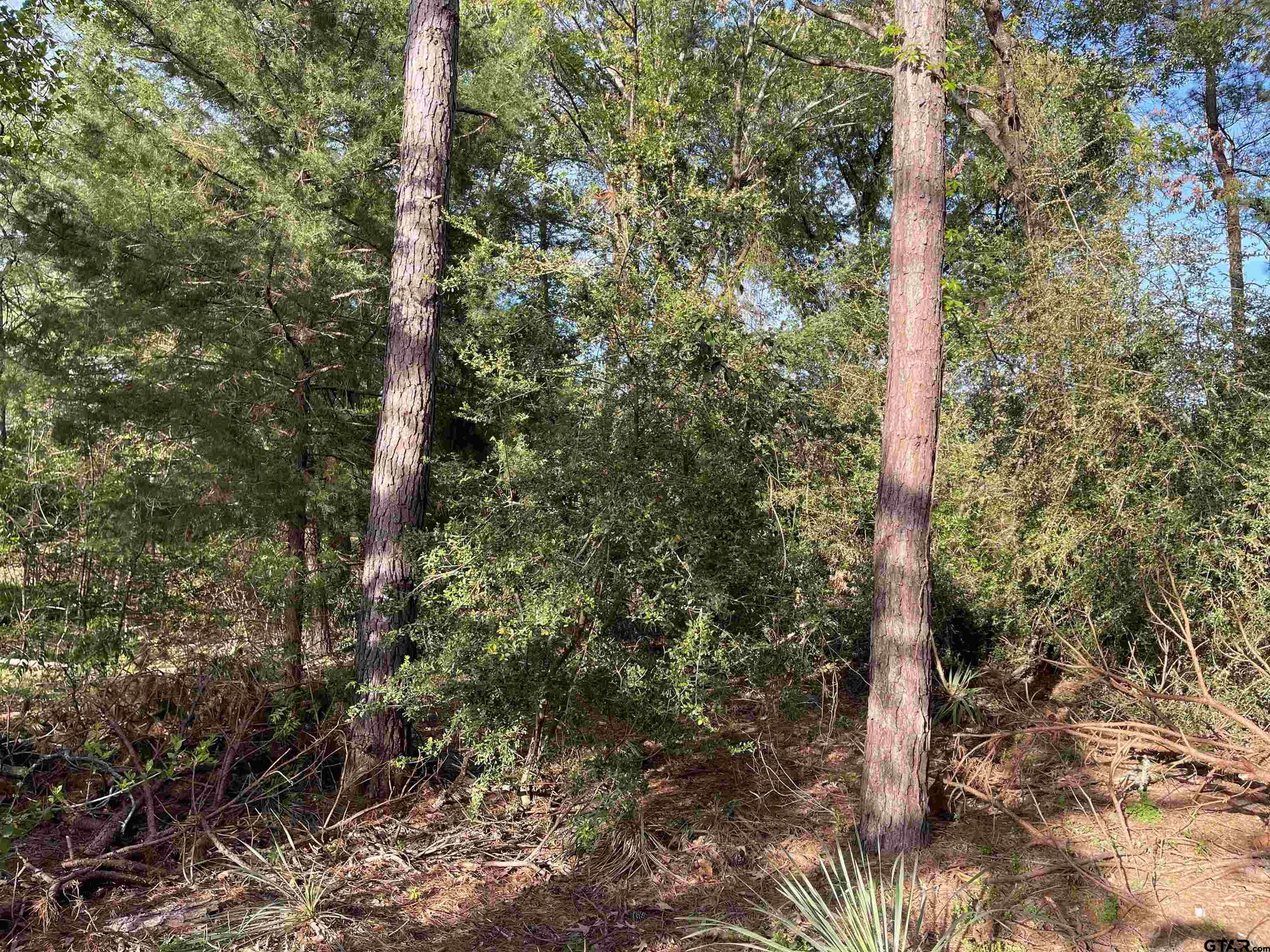 Tbd Lot 382 Tbd Holly Lake Ranch, TX 75765 - Photo 12 of 30