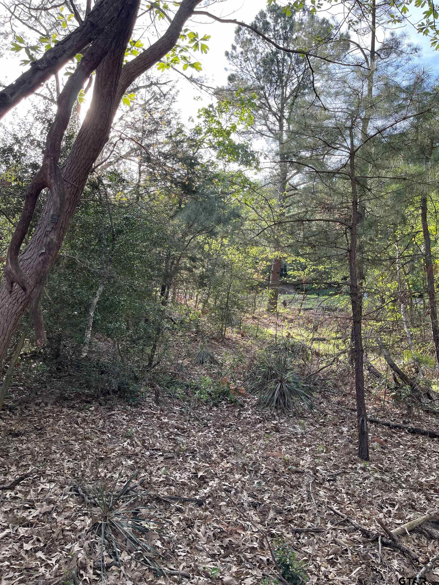 Tbd Lot 382 Tbd Holly Lake Ranch, TX 75765 - Photo 14 of 30