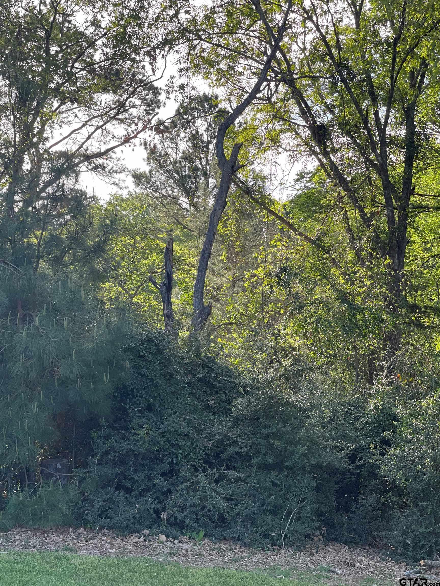 Tbd Lot 382 Tbd Holly Lake Ranch, TX 75765 - Photo 16 of 30