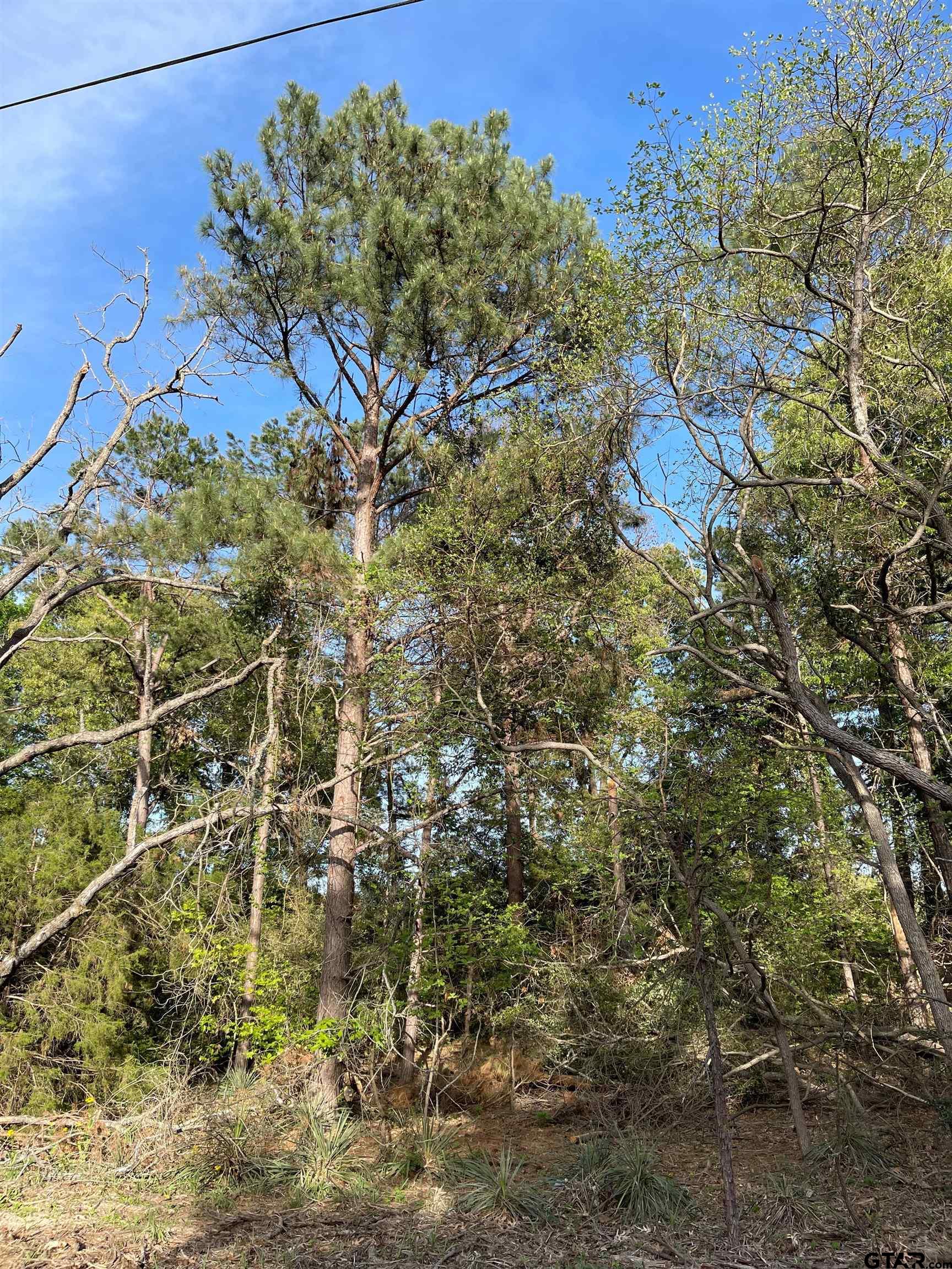 Tbd Lot 382 Tbd Holly Lake Ranch, TX 75765 - Photo 17 of 30