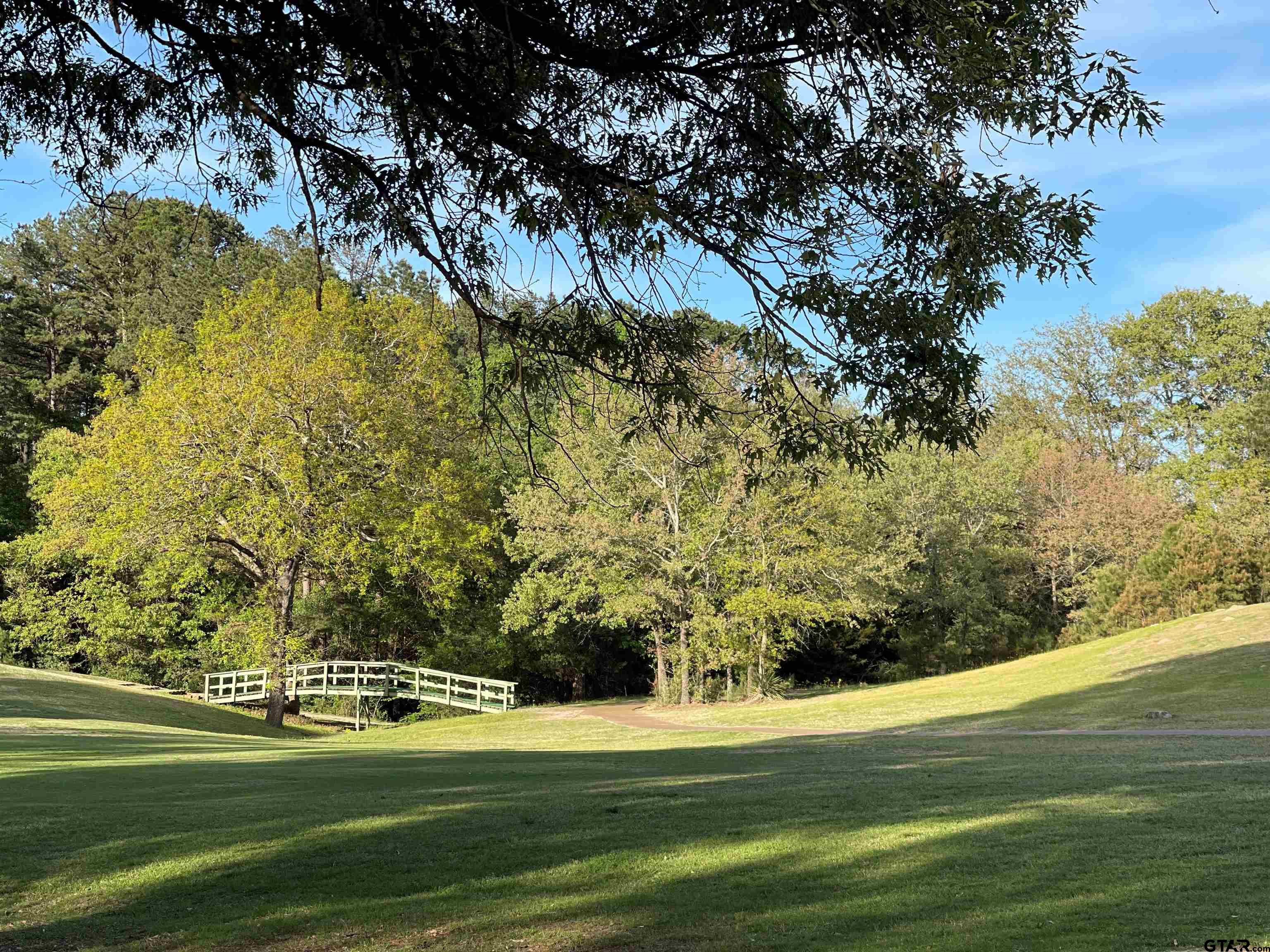 Tbd Lot 382 Tbd Holly Lake Ranch, TX 75765 - Photo 19 of 30