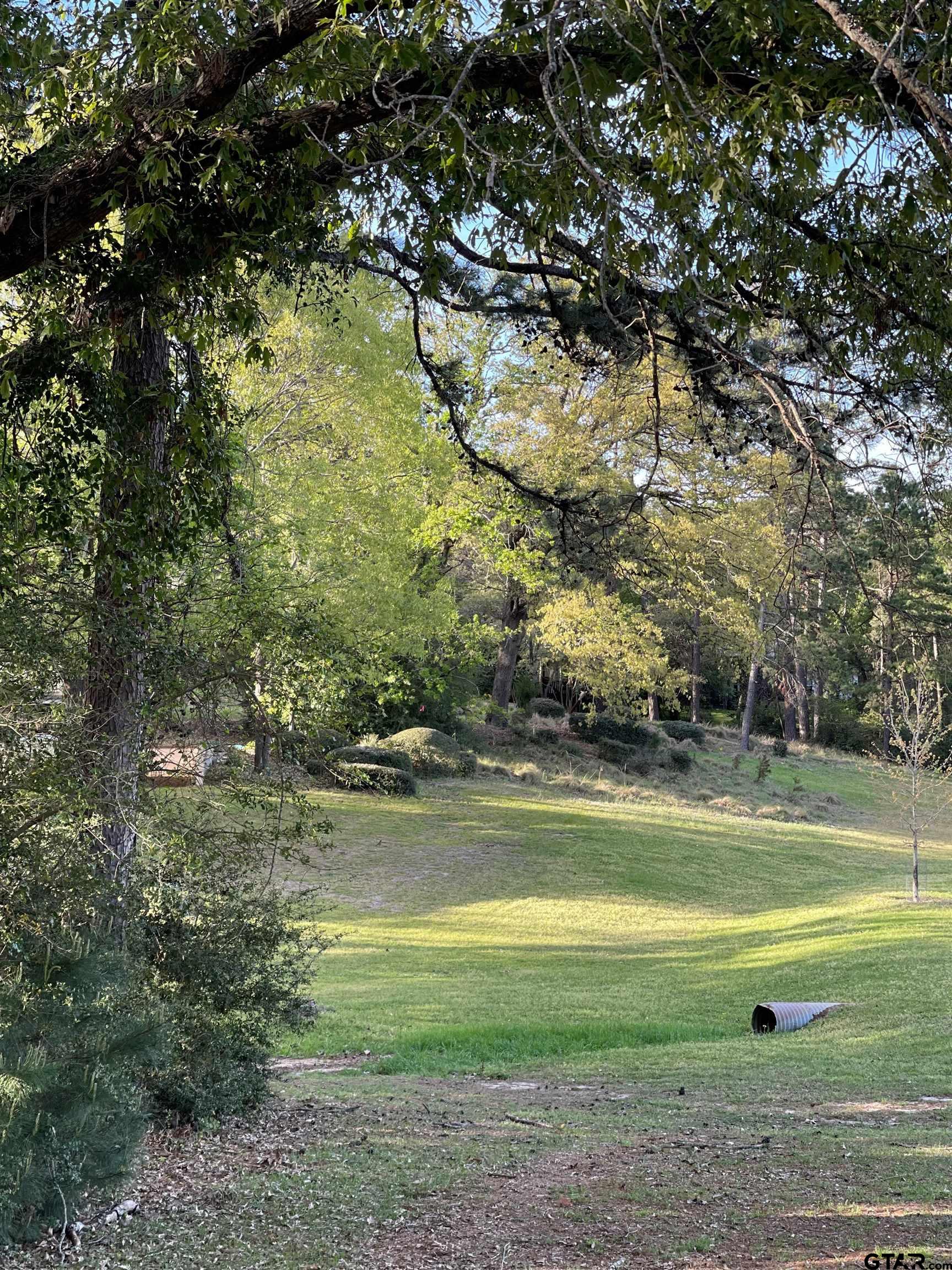 Tbd Lot 382 Tbd Holly Lake Ranch, TX 75765 - Photo 20 of 30