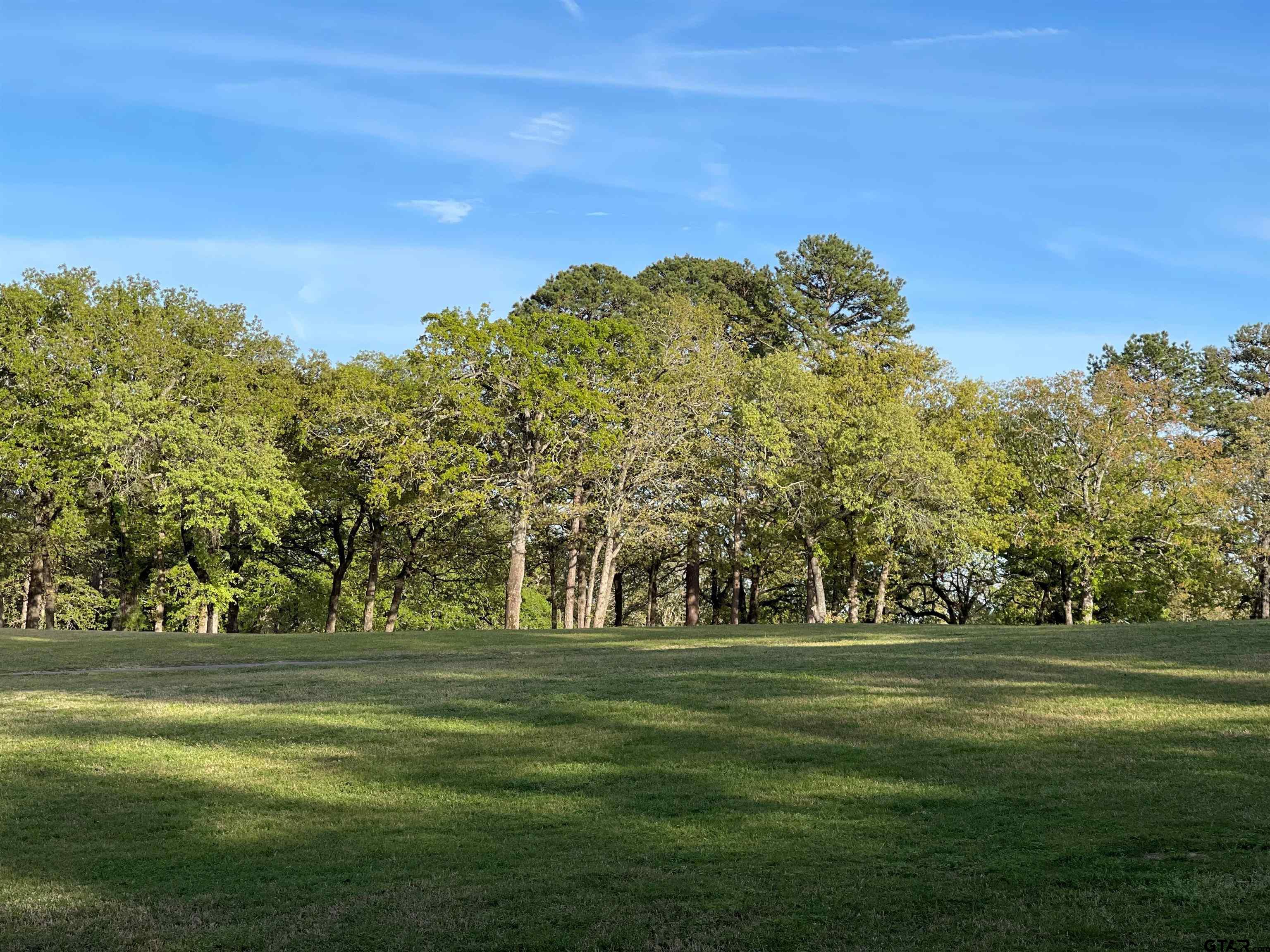 Tbd Lot 382 Tbd Holly Lake Ranch, TX 75765 - Photo 22 of 30