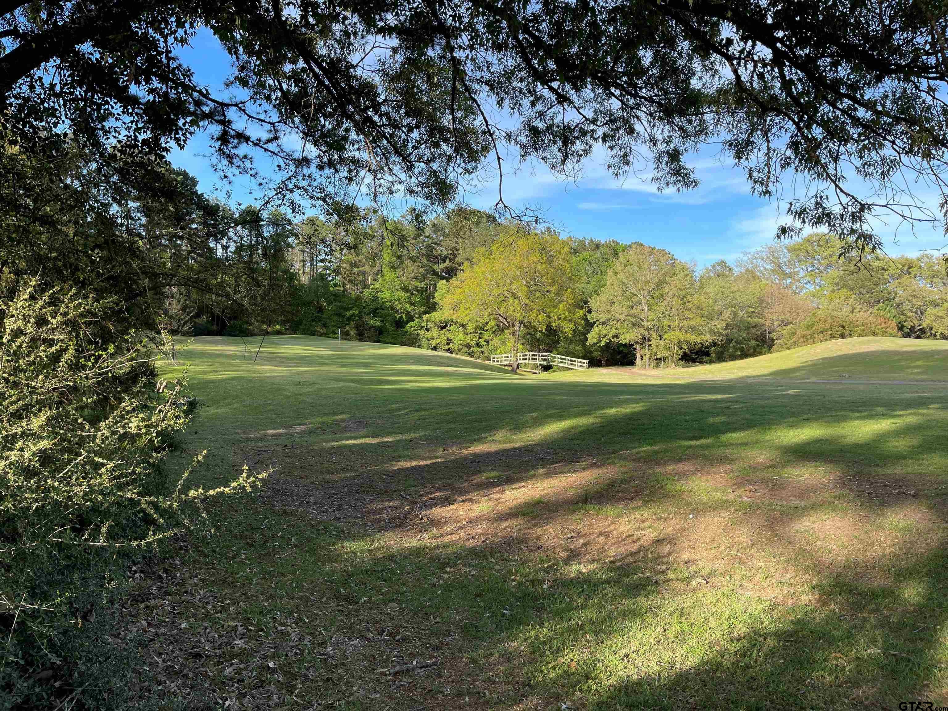 Tbd Lot 382 Tbd Holly Lake Ranch, TX 75765 - Photo 24 of 30