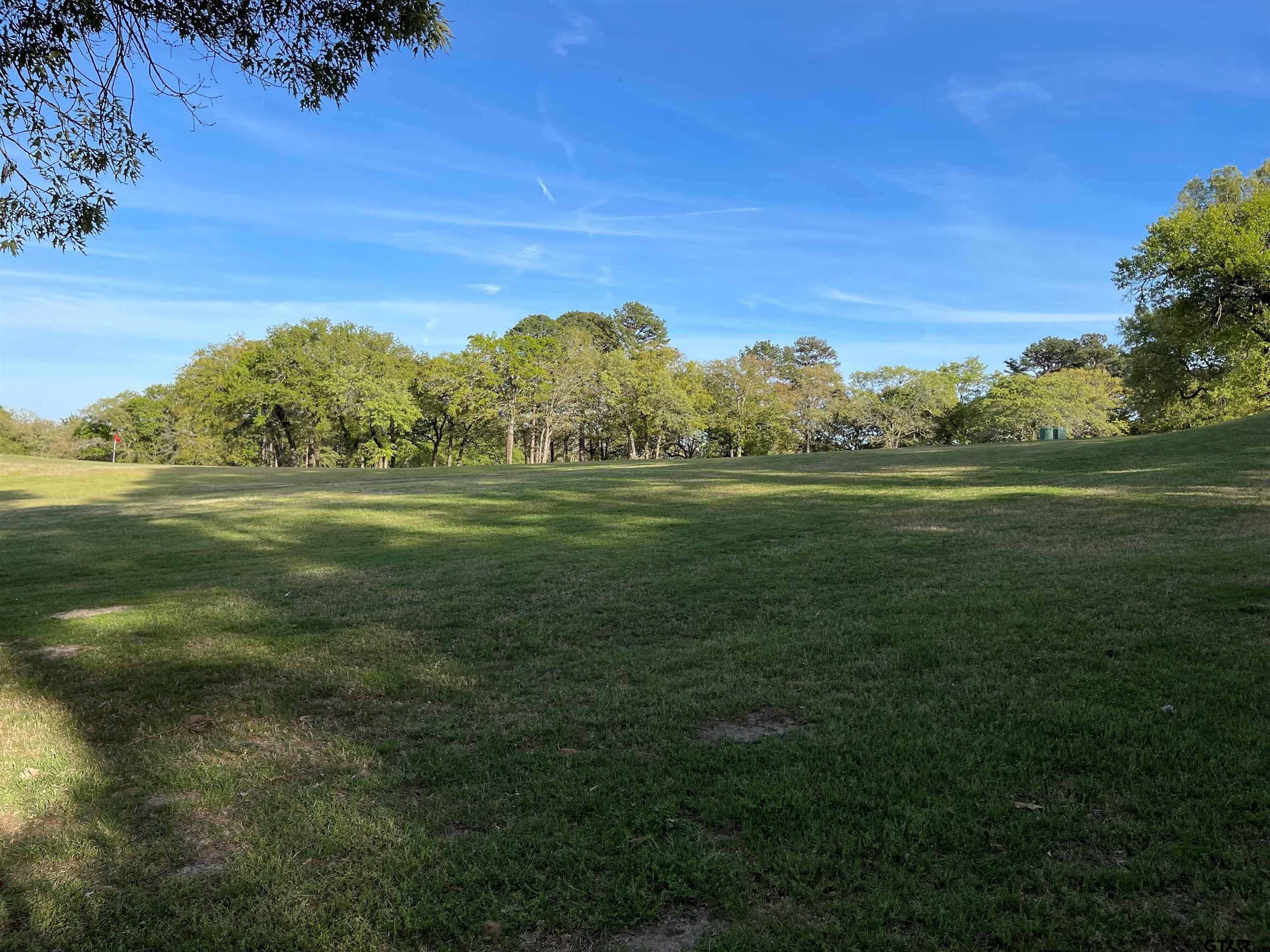 Tbd Lot 382 Tbd Holly Lake Ranch, TX 75765 - Photo 25 of 30