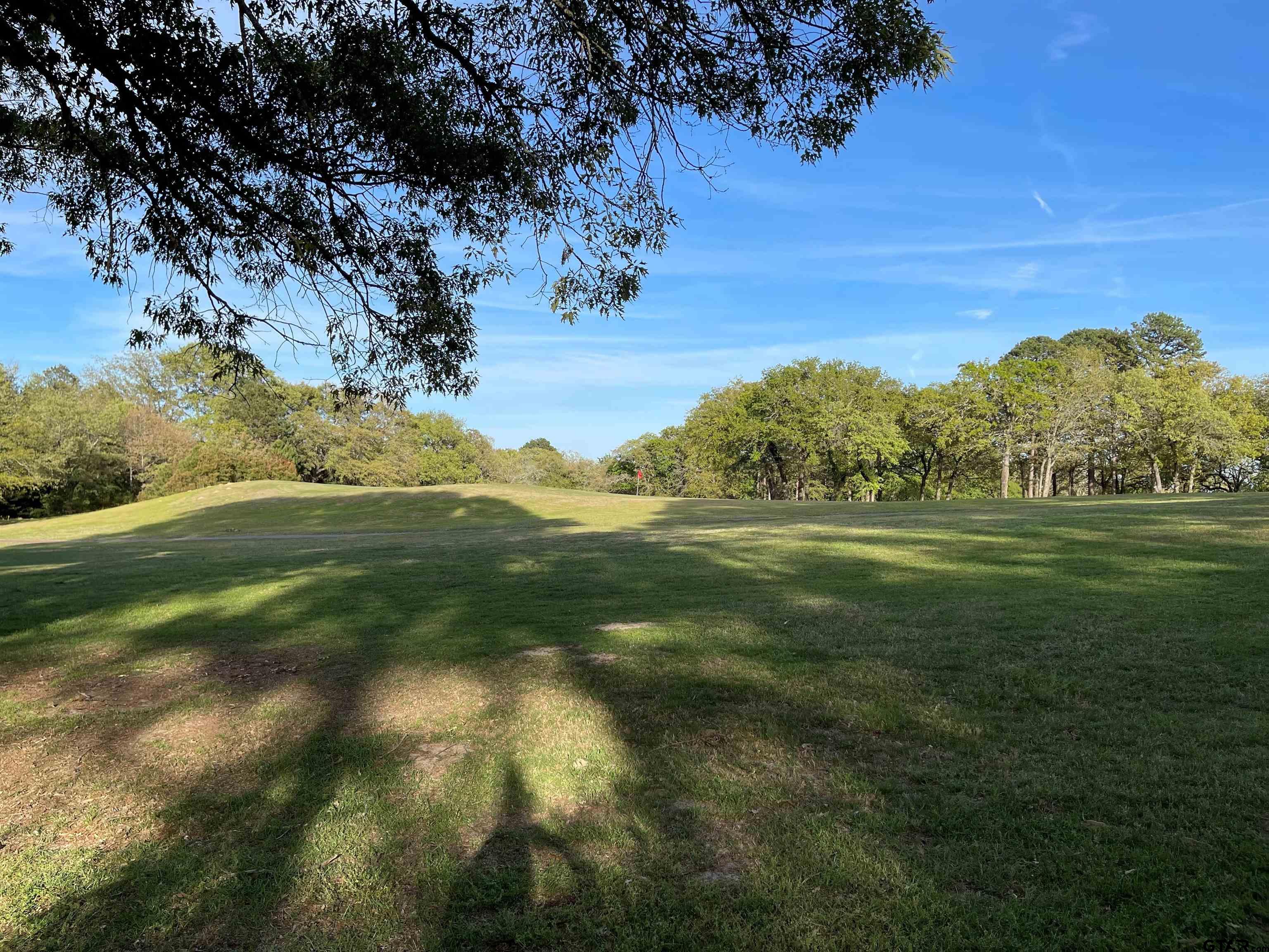 Tbd Lot 382 Tbd Holly Lake Ranch, TX 75765 - Photo 26 of 30
