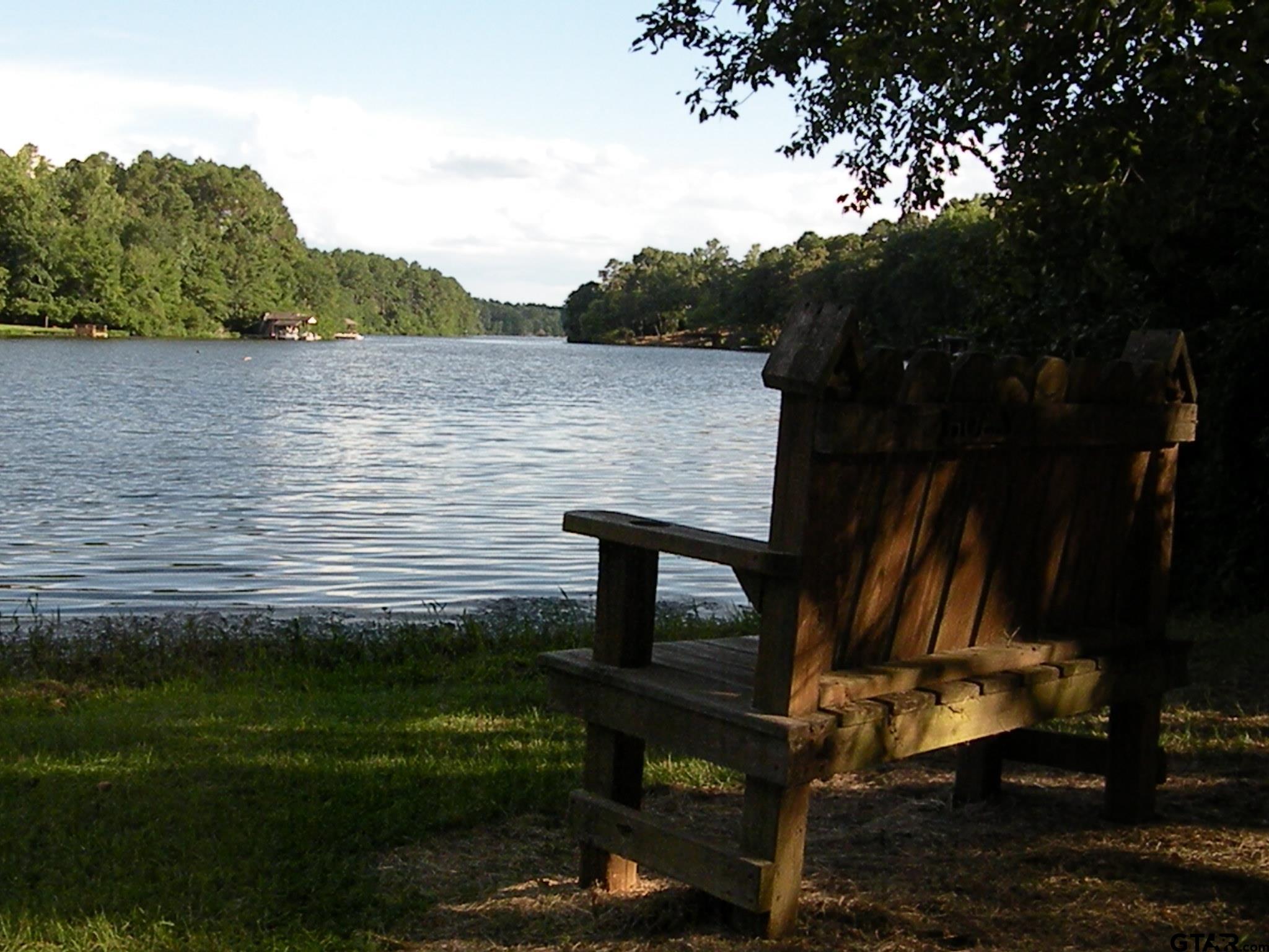 Tbd Lot 382 Tbd Holly Lake Ranch, TX 75765 - Photo 29 of 30