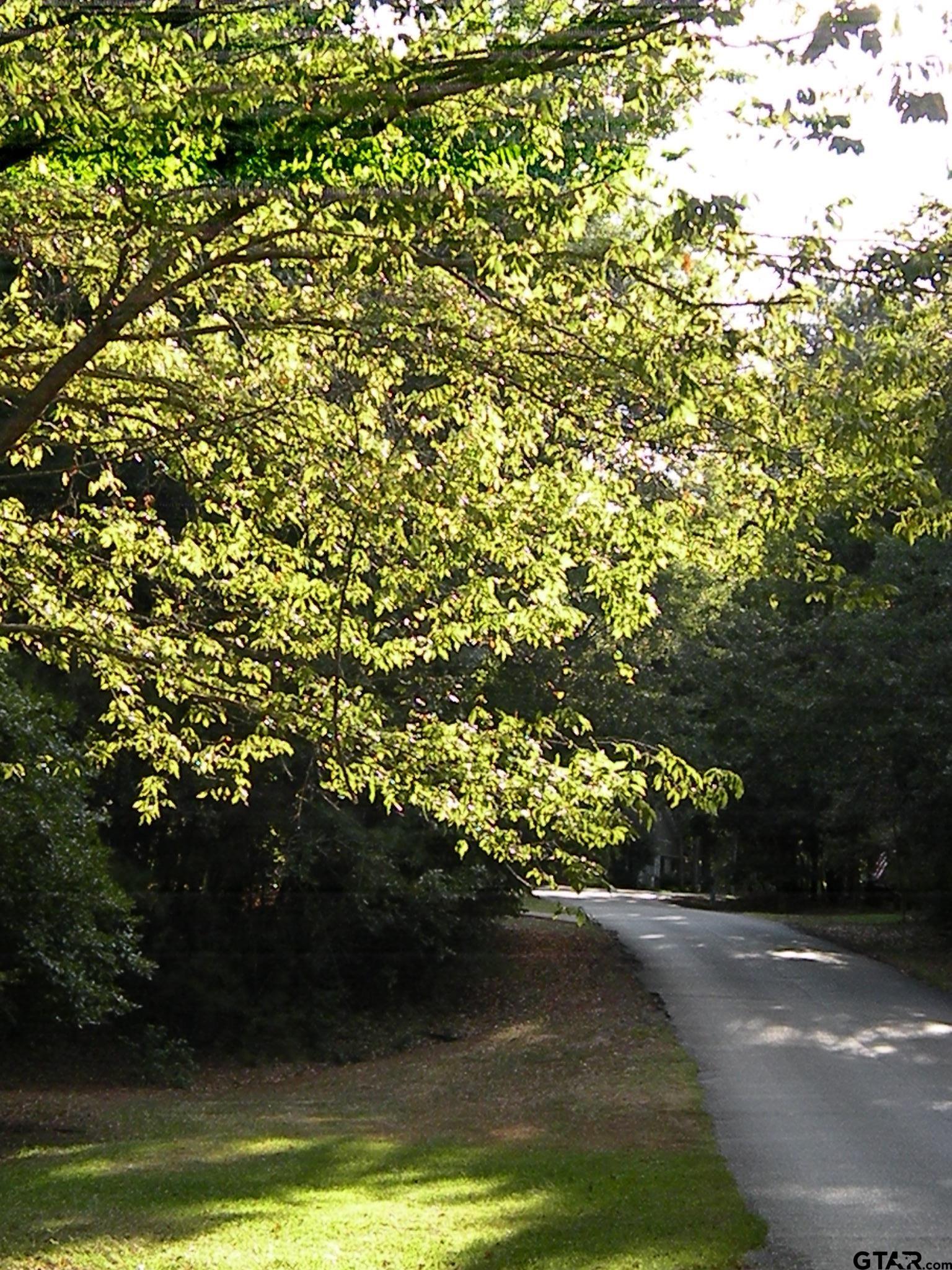 Tbd Lot 382 Tbd Holly Lake Ranch, TX 75765 - Photo 30 of 30