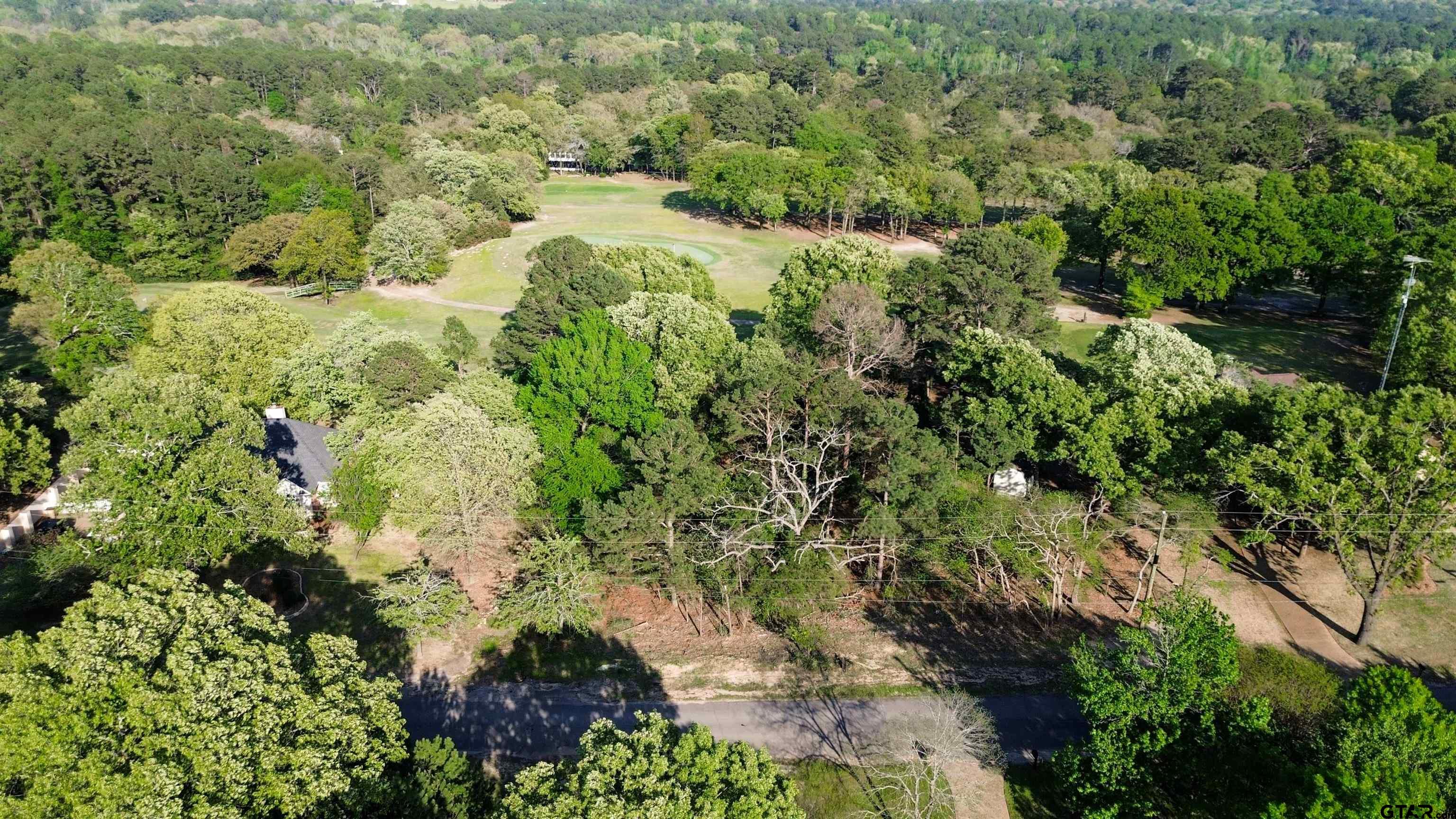 Tbd Lot 382 Tbd Holly Lake Ranch, TX 75765 - Photo 3 of 30