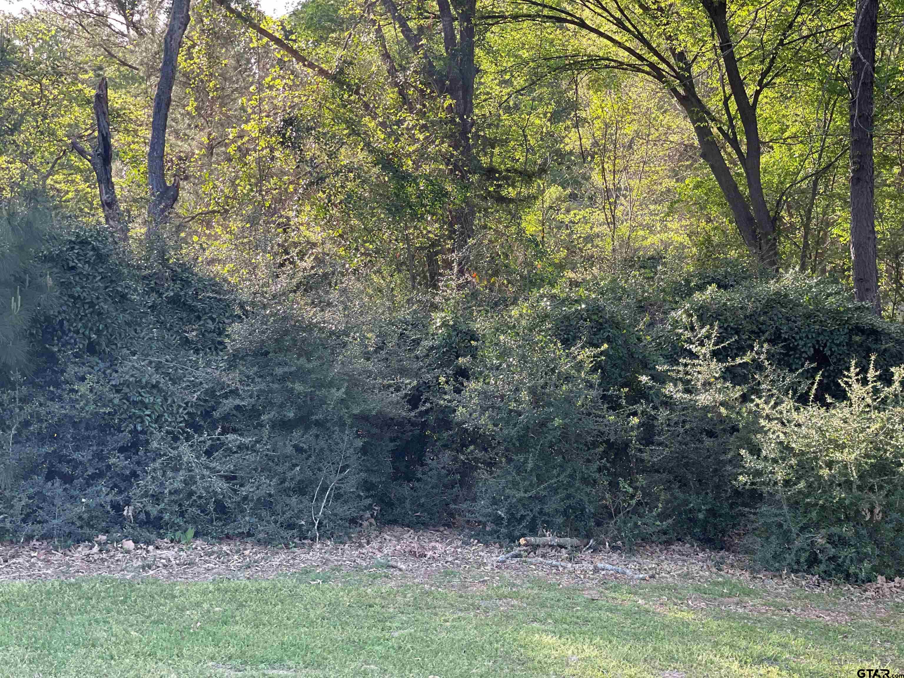 Tbd Lot 382 Tbd Holly Lake Ranch, TX 75765 - Photo 5 of 30