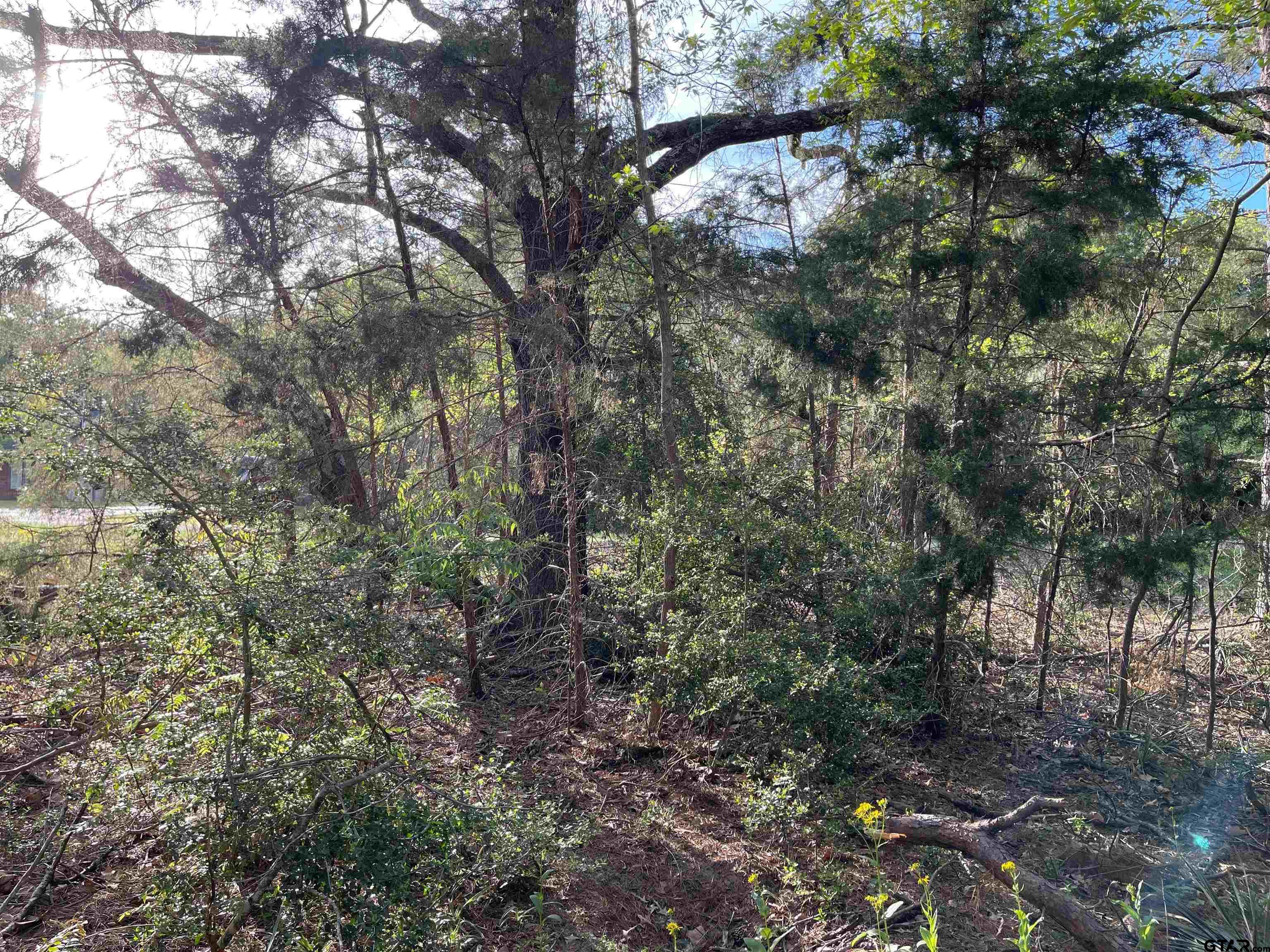 Tbd Lot 382 Tbd Holly Lake Ranch, TX 75765 - Photo 7 of 30