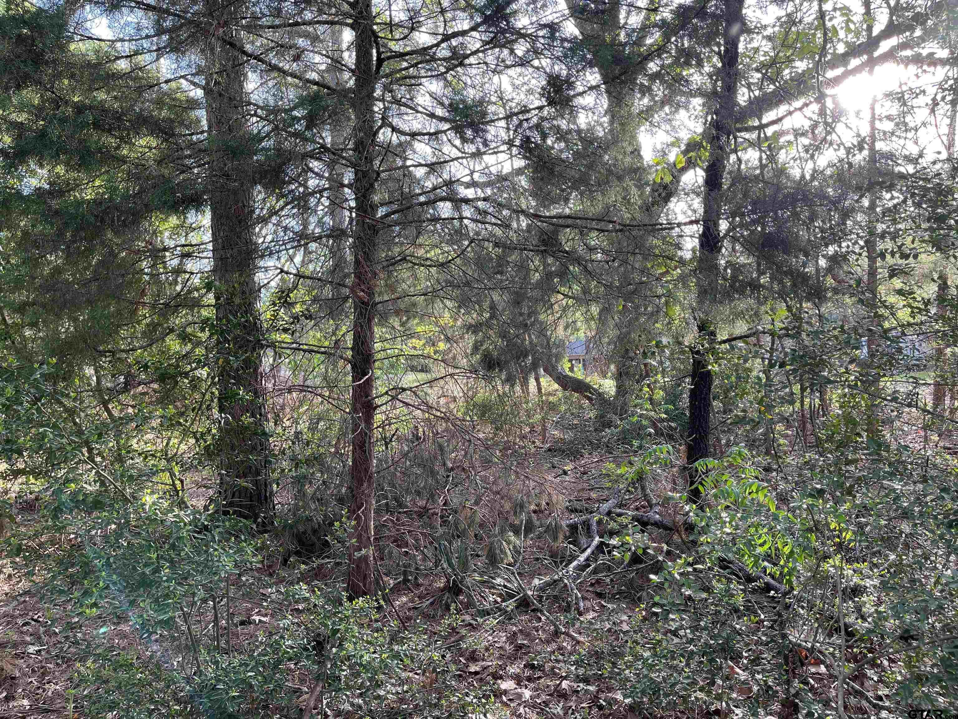 Tbd Lot 382 Tbd Holly Lake Ranch, TX 75765 - Photo 8 of 30