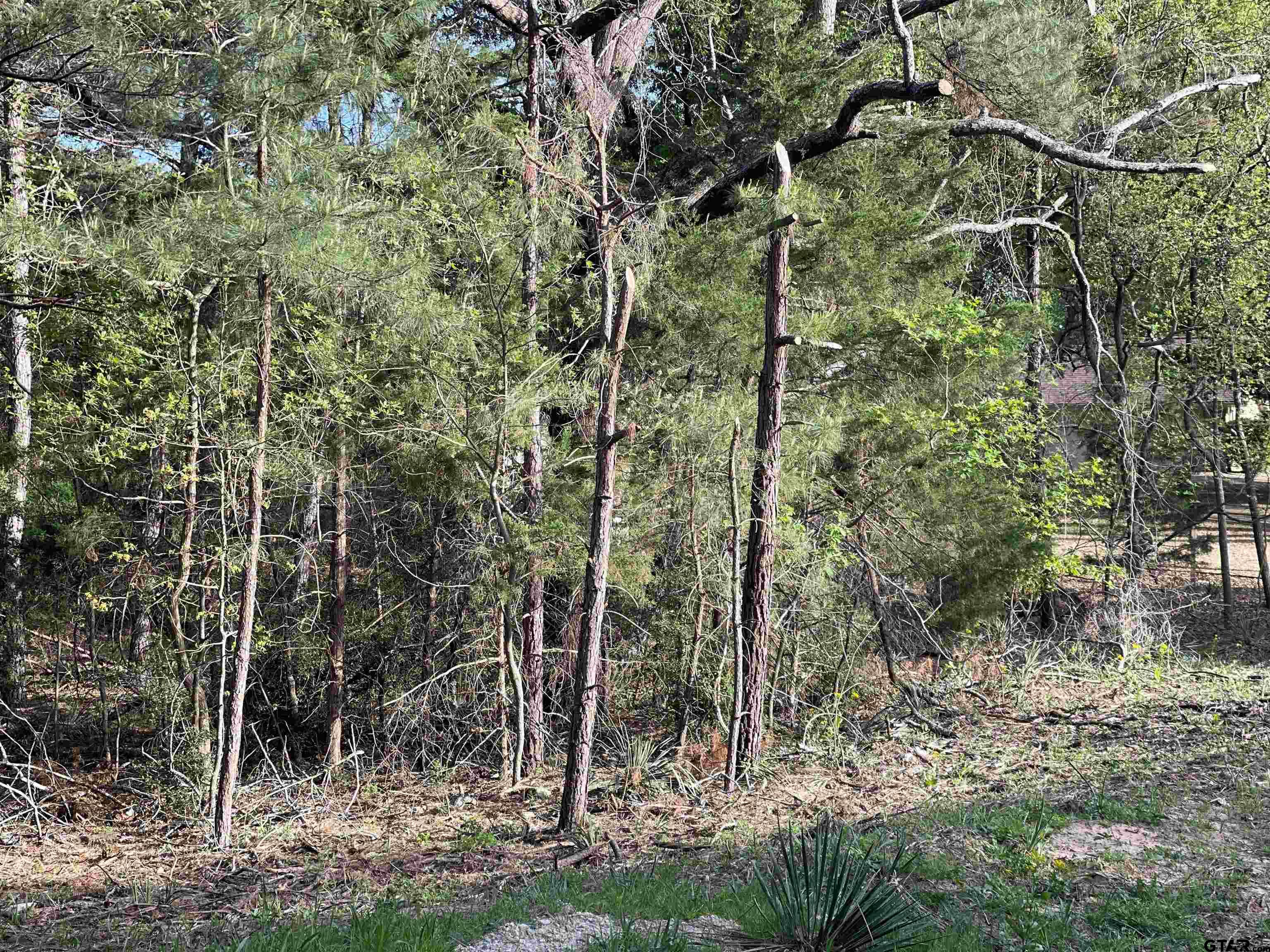 Tbd Lot 382 Tbd Holly Lake Ranch, TX 75765 - Photo 9 of 30