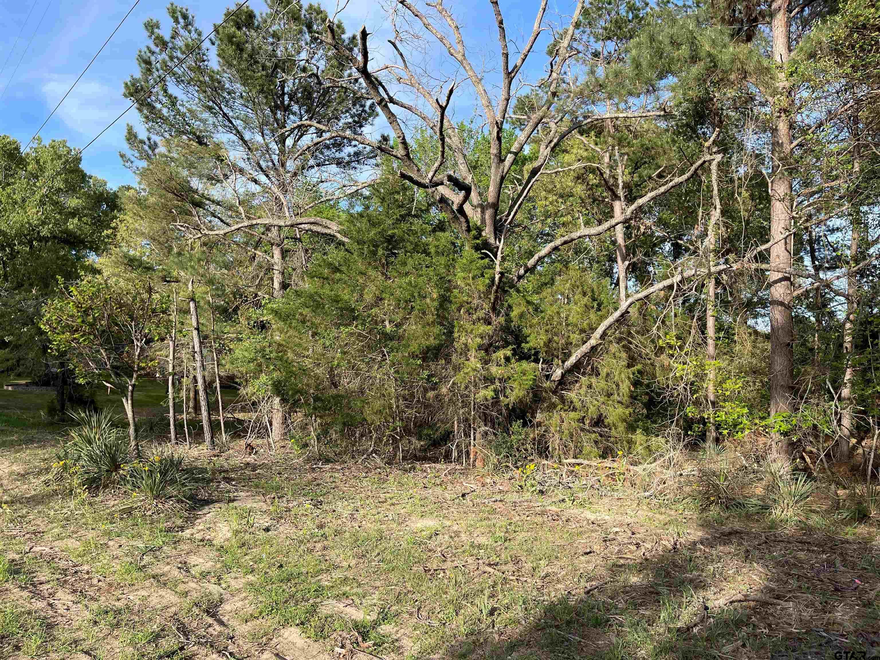Tbd Lot 382 Tbd Holly Lake Ranch, TX 75765 - Photo 10 of 30