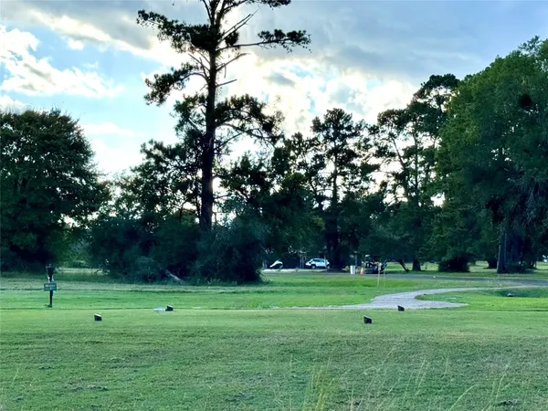a view of a grassy field with trees