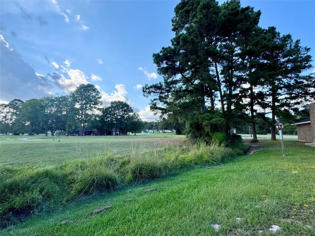 20 Shallow Springs Trinity, TX 75862 - Photo 8 of 48 a view of a grassy field with trees