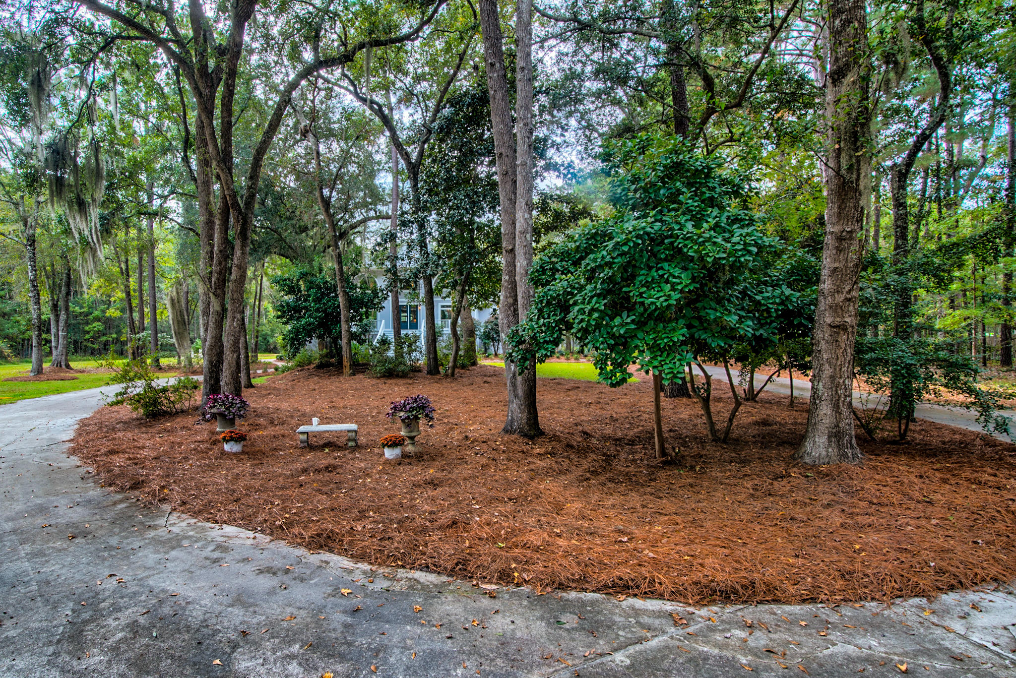 2945 Edenvale Road Johns Island, SC 29455 - Photo 5 of 75 2945 Edenvale-66