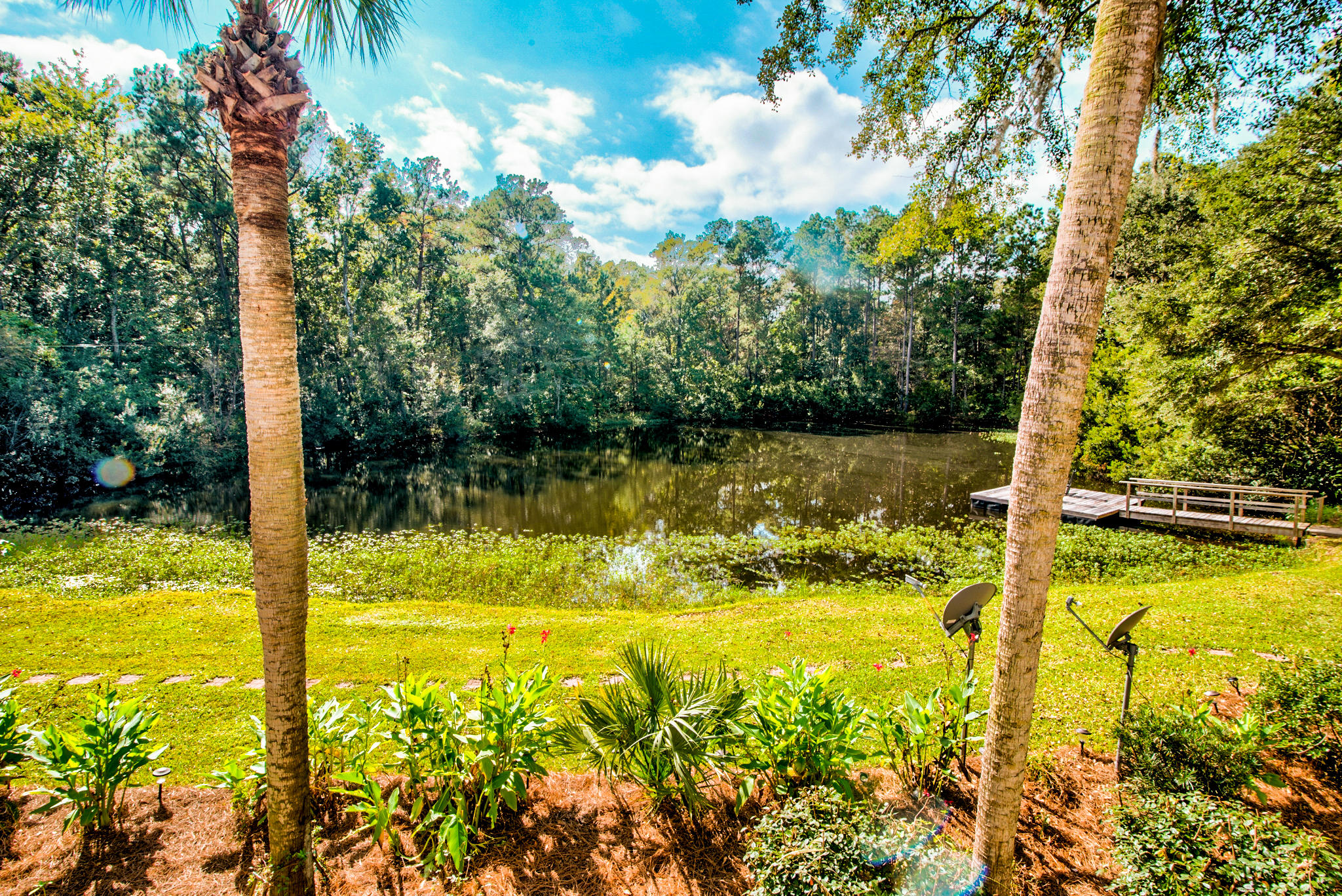 2945 Edenvale Road Johns Island, SC 29455 - Photo 62 of 75 2945 Edenvale-50
