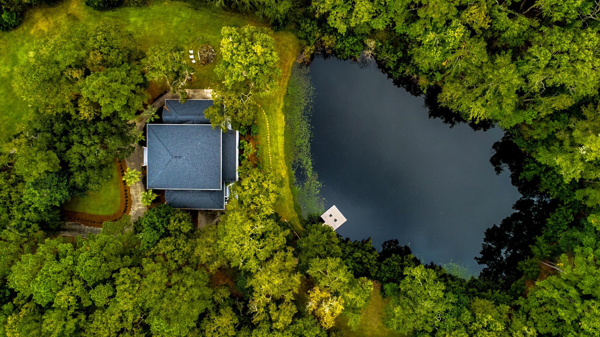 2945 Edenvale Road Johns Island, SC 29455 - Photo 64 of 75 2945 Edenvale Drone-6