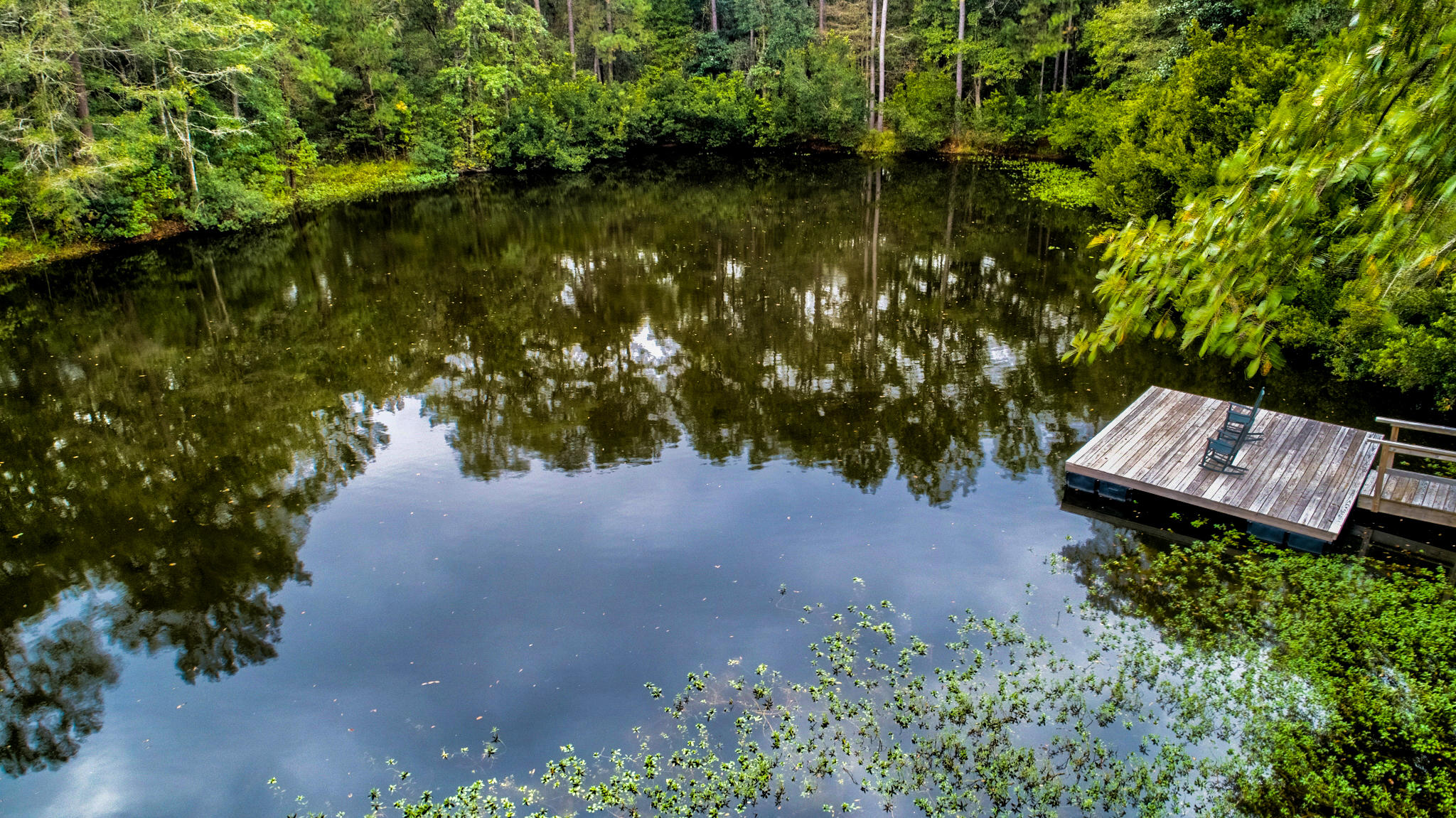 2945 Edenvale Road Johns Island, SC 29455 - Photo 10 of 75 2945 Edenvale Drone-5