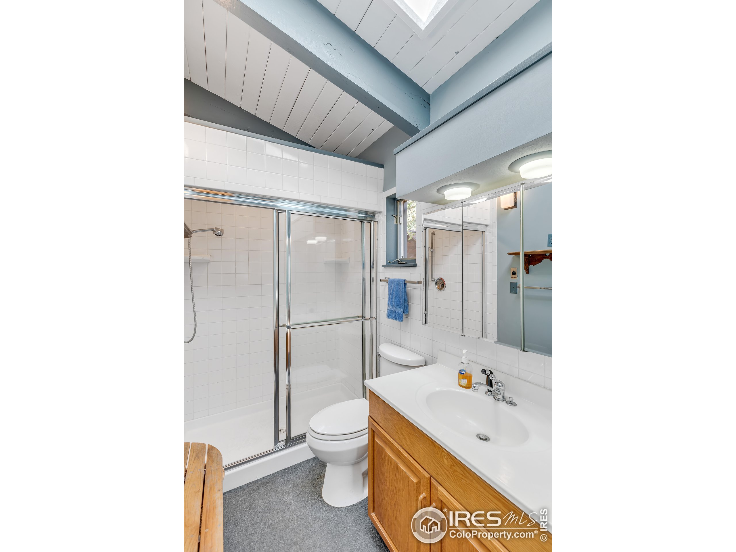 5566 Sugarloaf Road Boulder, CO 80302 - Photo 17 of 35 a bathroom with a sink a toilet and a shower