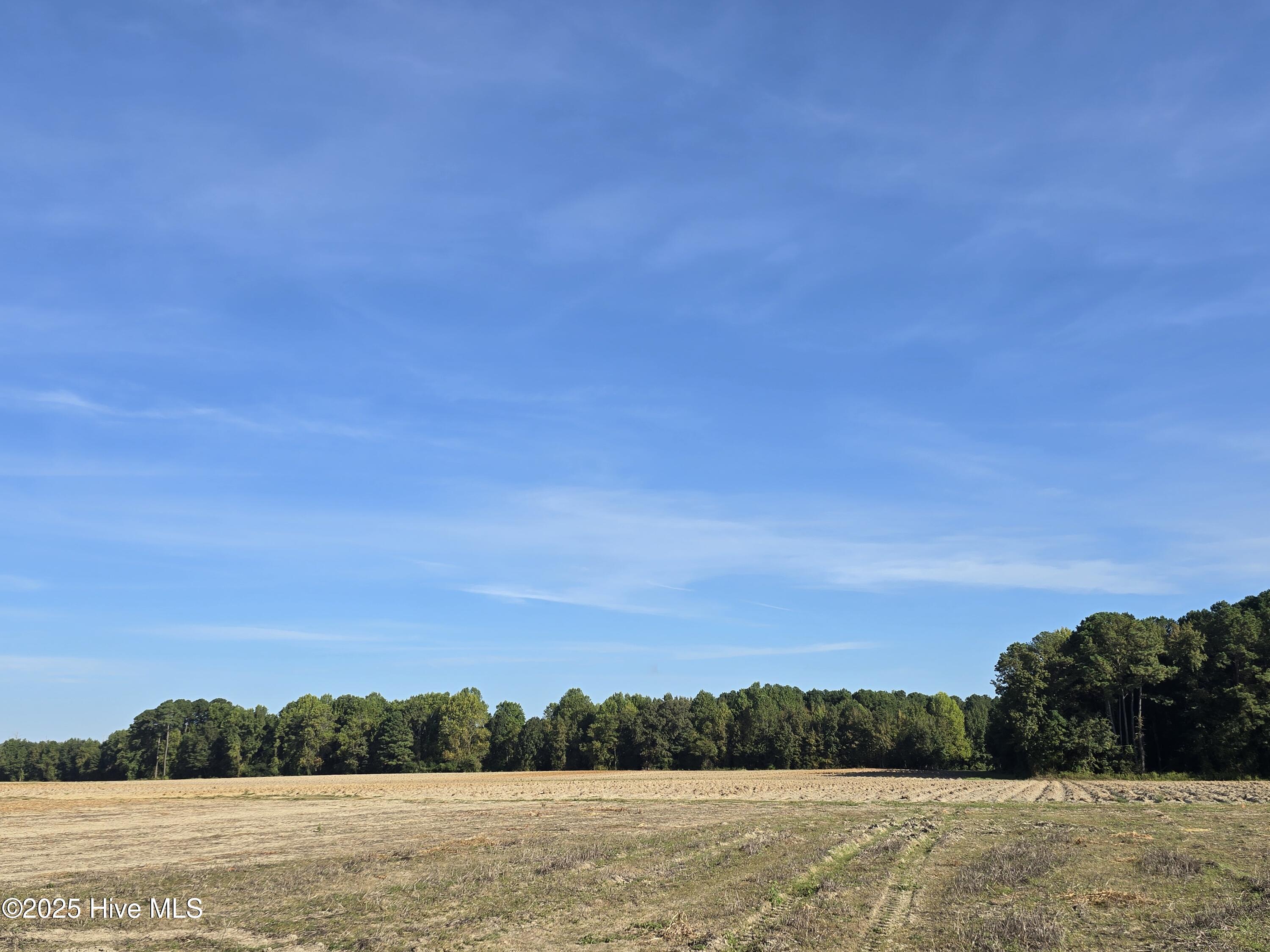 7838 Simpson Road Lucama, NC 27851 - Photo 2 of 20 20250922_092101