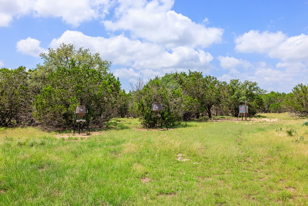 568 Tahoe Ranch Road, Unit 15 Harper, TX 78631 - Photo 15 of 18