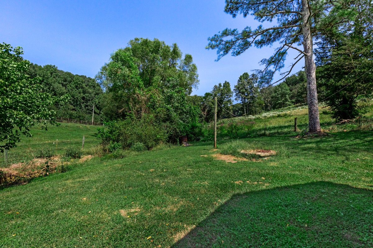 33448 Ardmore Ridge Road Ardmore, TN 38449 - Photo 5 of 19 a view of a field with a tree in it