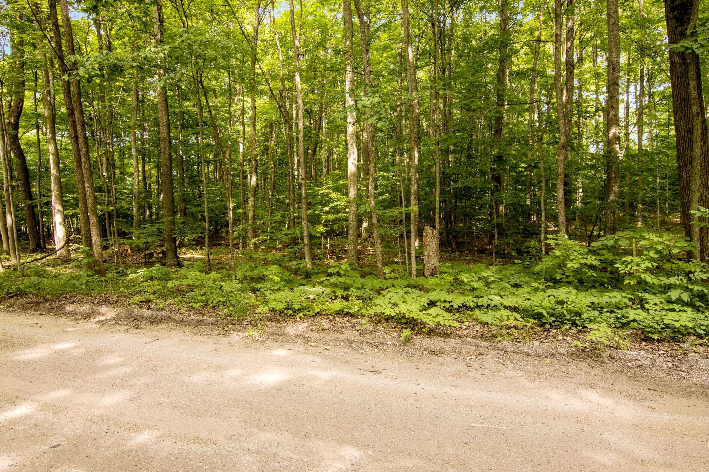 0 South Zimmerman Road Beulah, MI 49617 - Photo 12 of 13 1948001-6de79e83-fb66-4651-bc36-1d6e87902376.JPG