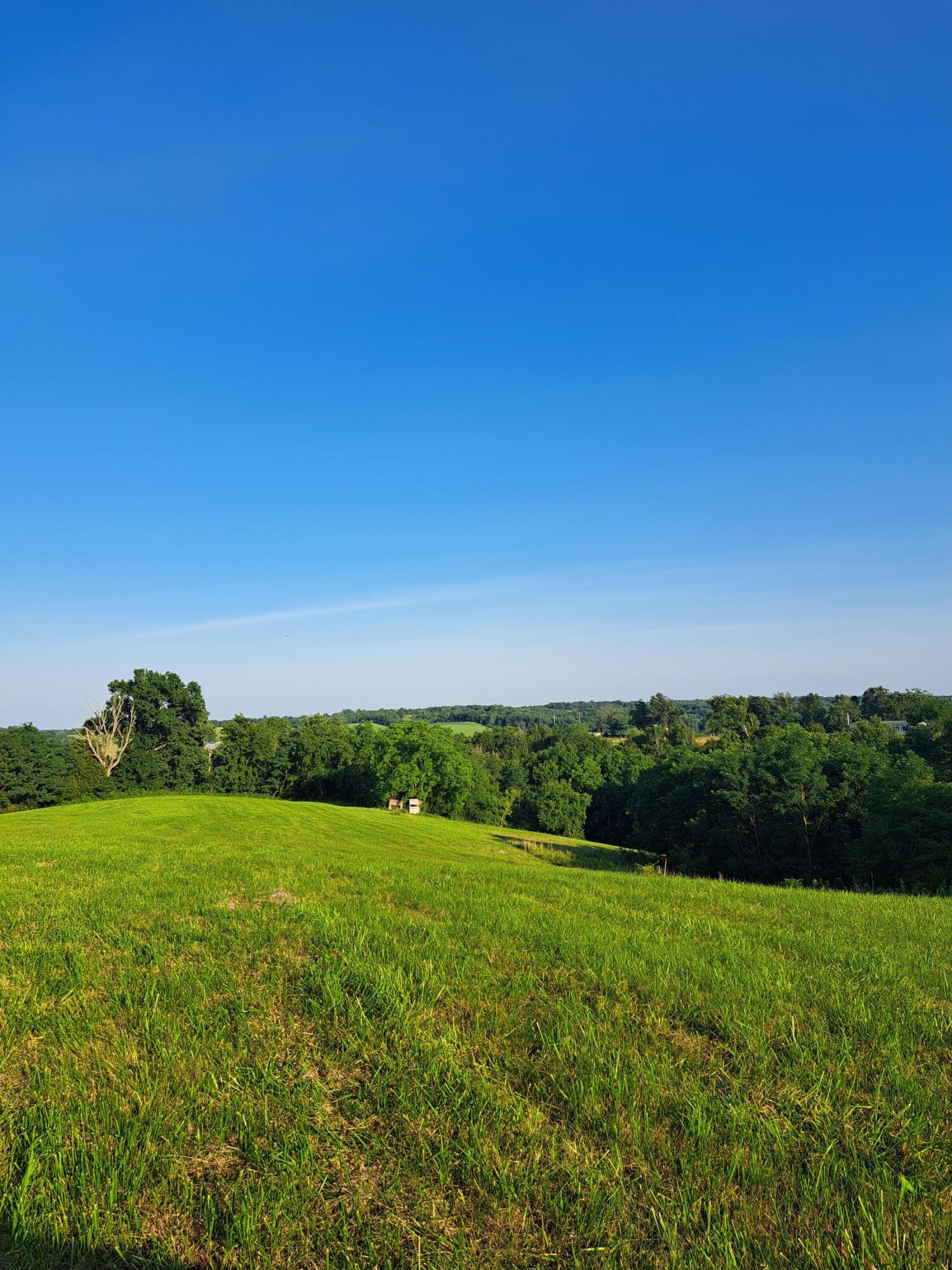 0 Layton Chapel Road Corinth, KY 41010 - Photo 8 of 10 Gallery Image 8