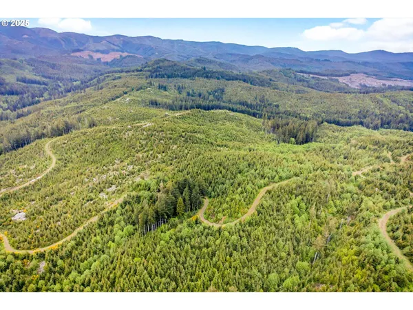 $209,000 | 1 Parpala Road, Naselle, WA 98638