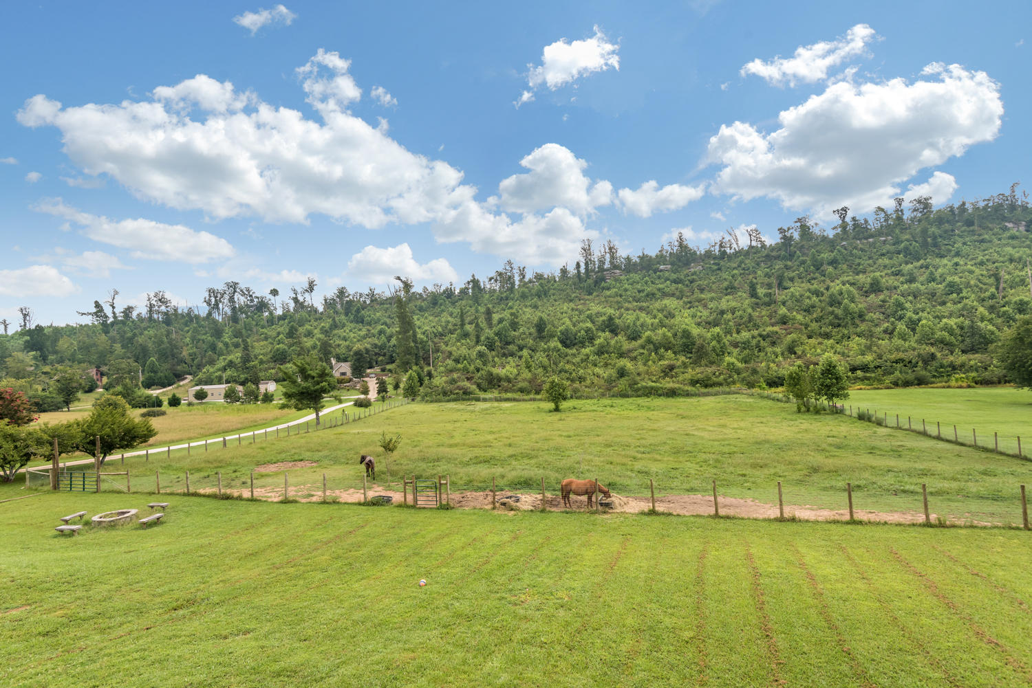 3182 Cherokee Valley Road Ringgold, GA 30736 - Photo 6 of 36 3182_Cherokee_Valley_Rd_06