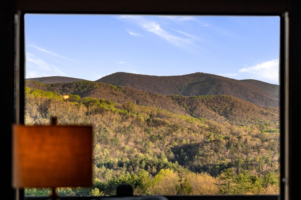 337 Star Gaze Ridge Blue Ridge, GA 30513 - Photo 6 of 56
