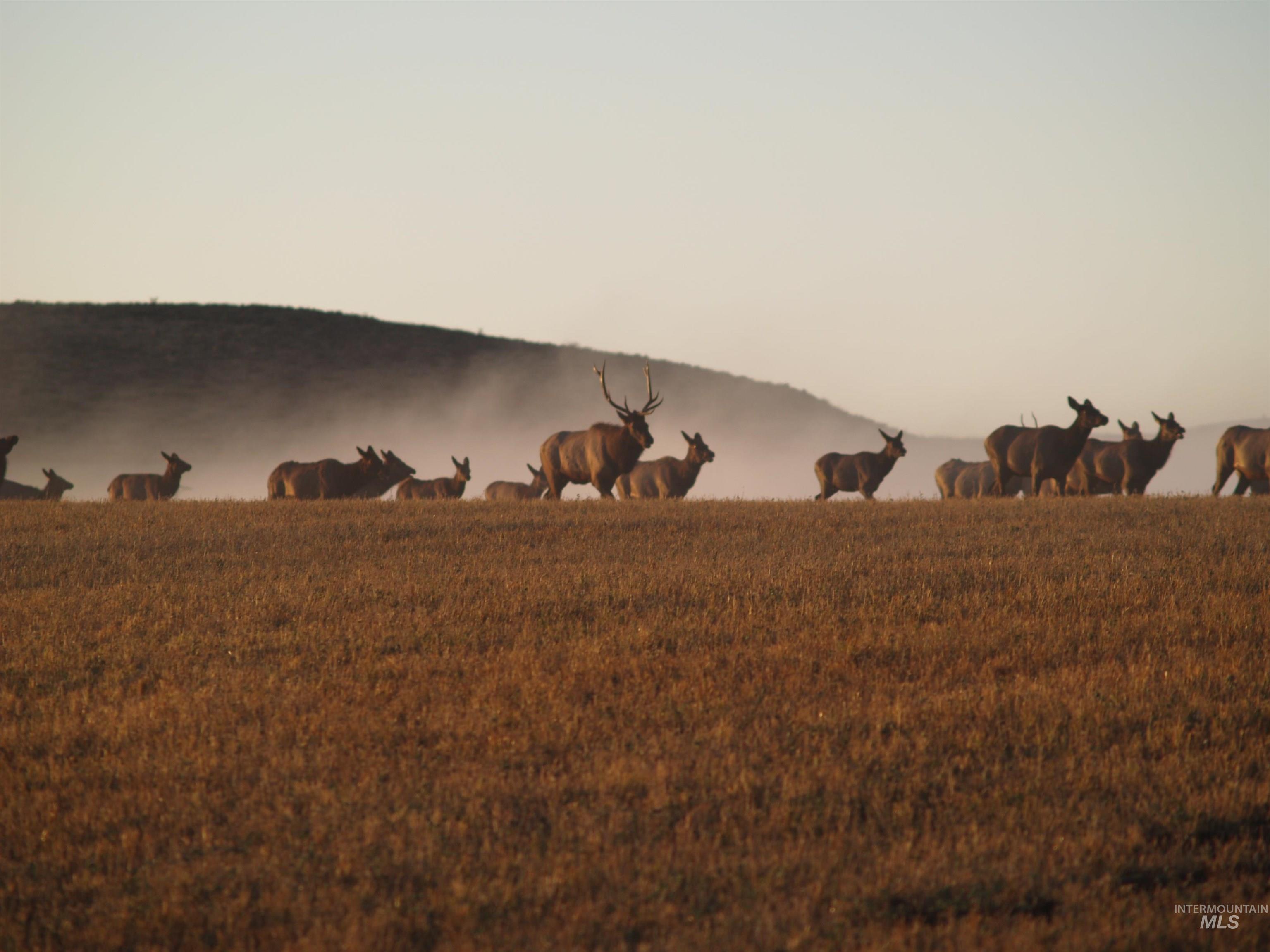 Northeast Little Camas Reservoir Road Mountain Home, ID 83647 - Photo 14 of 25