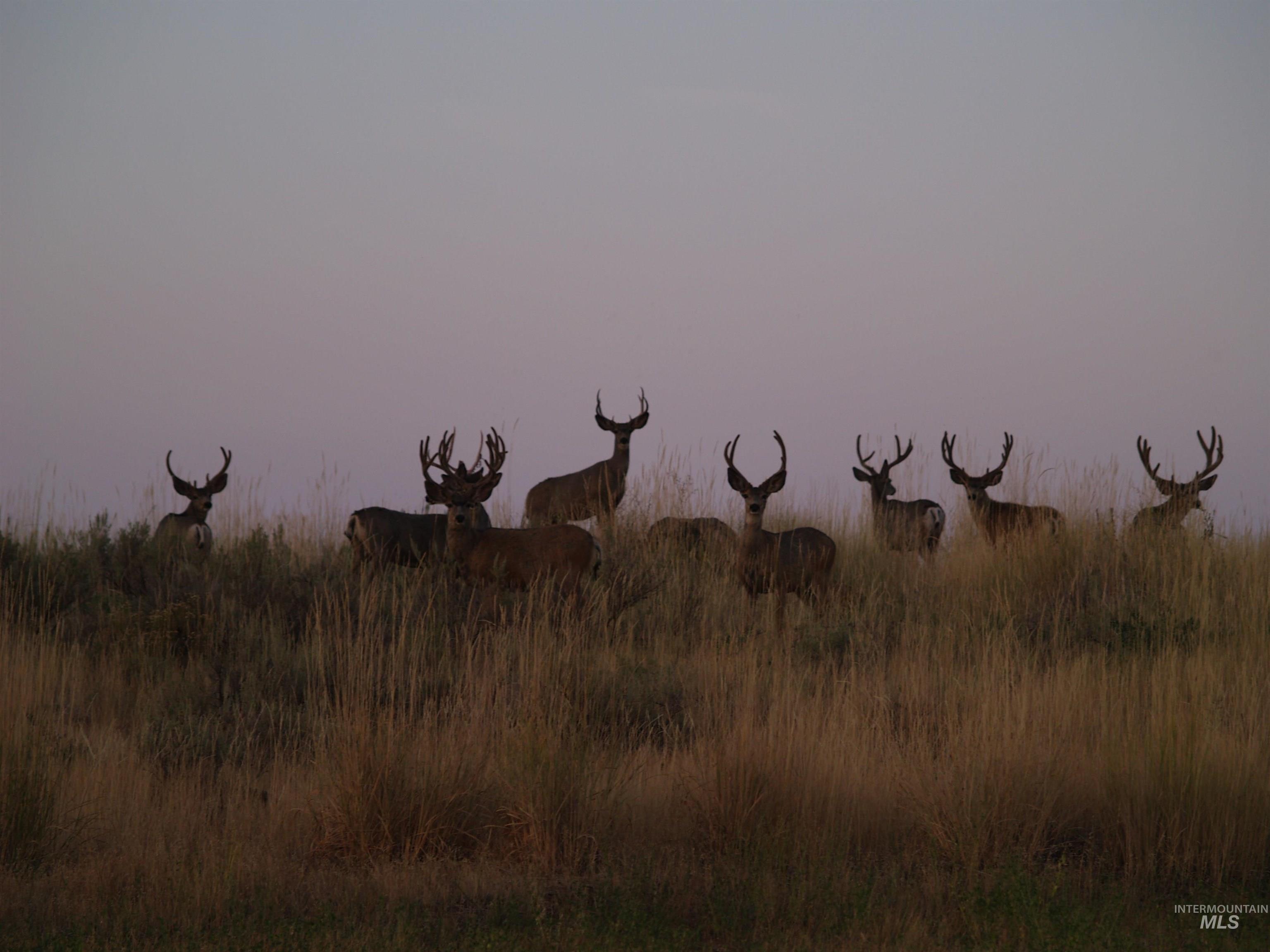 Northeast Little Camas Reservoir Road Mountain Home, ID 83647 - Photo 18 of 25