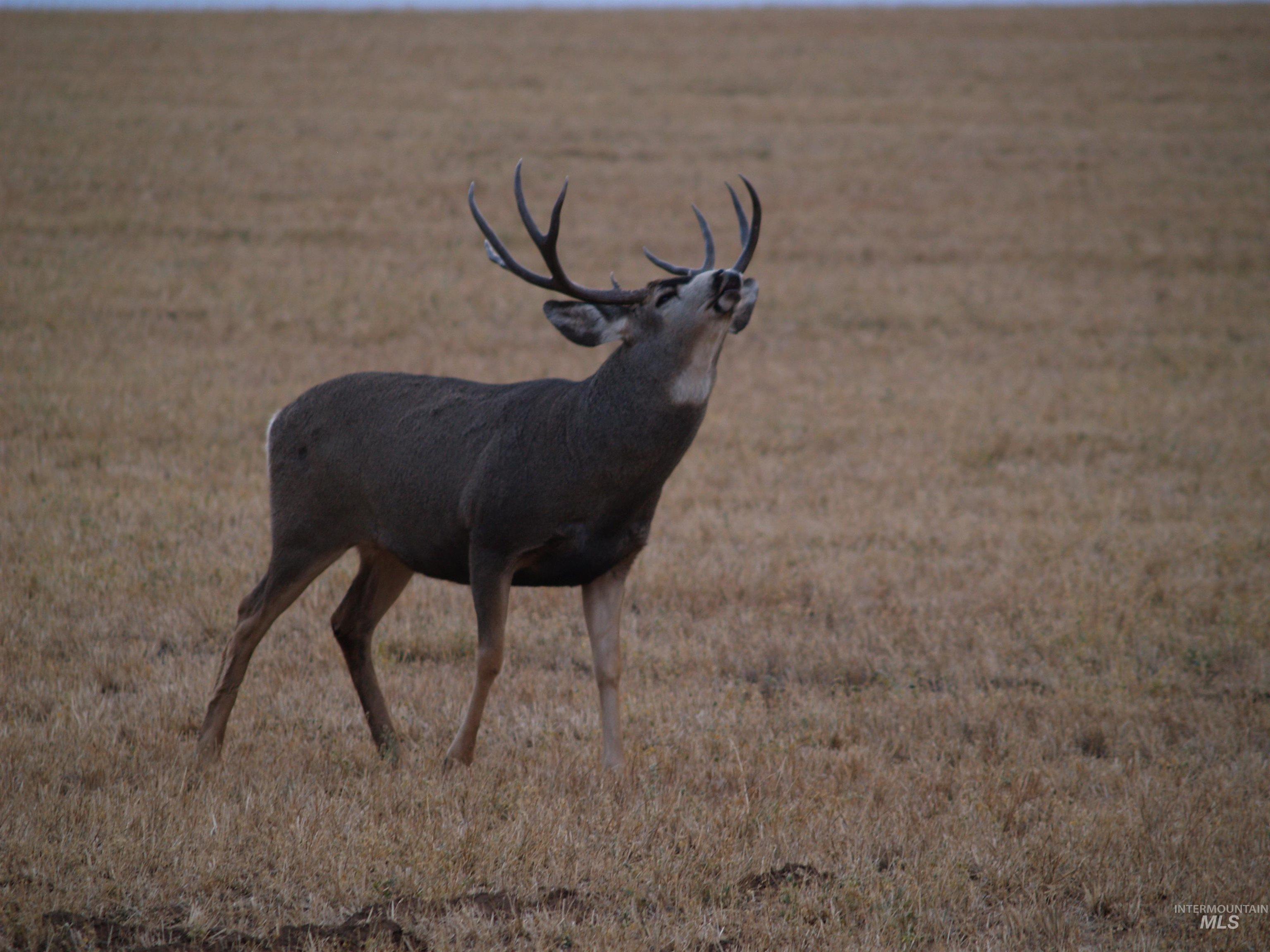 Northeast Little Camas Reservoir Road Mountain Home, ID 83647 - Photo 19 of 25