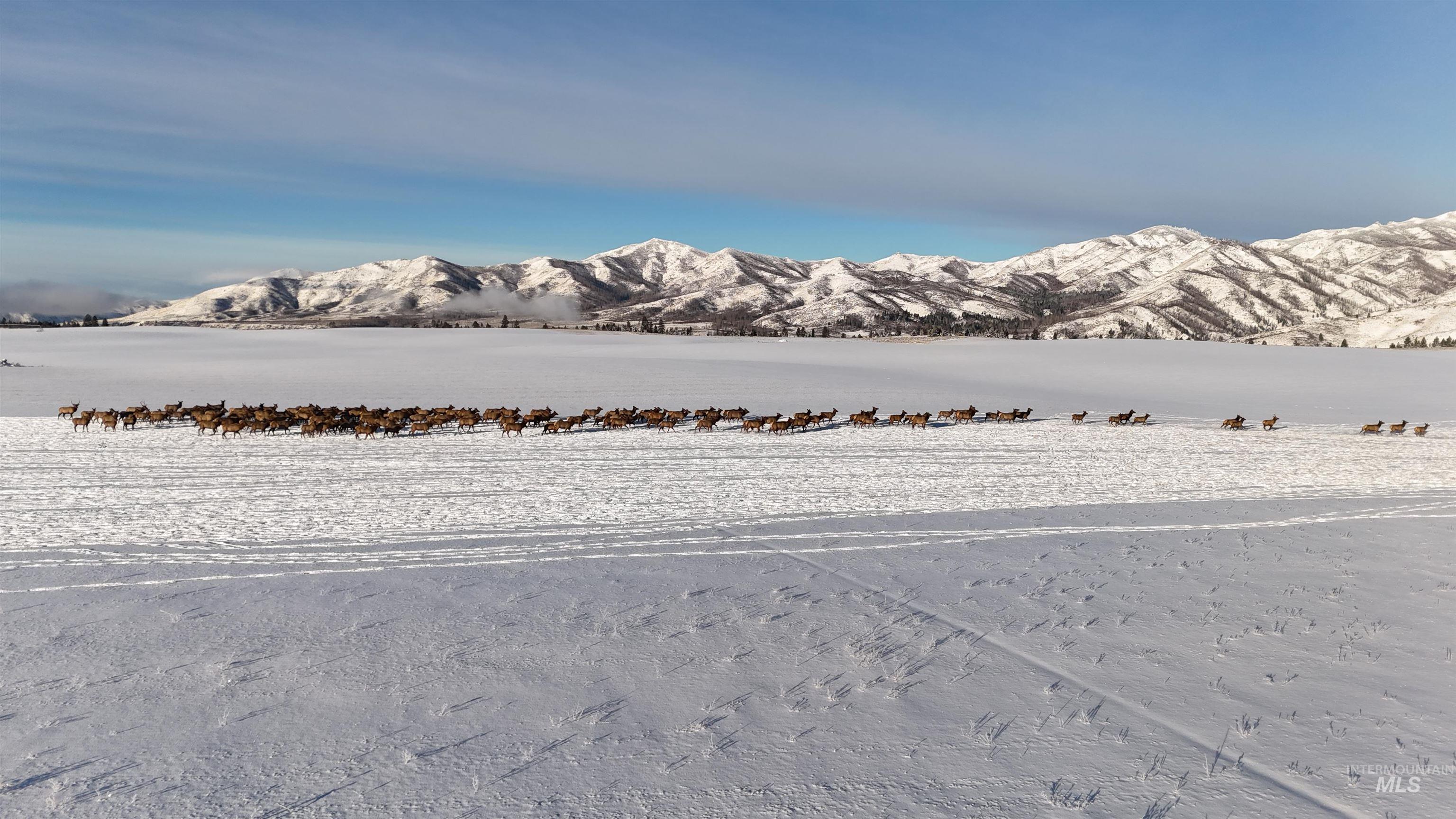 Northeast Little Camas Reservoir Road Mountain Home, ID 83647 - Photo 2 of 25
