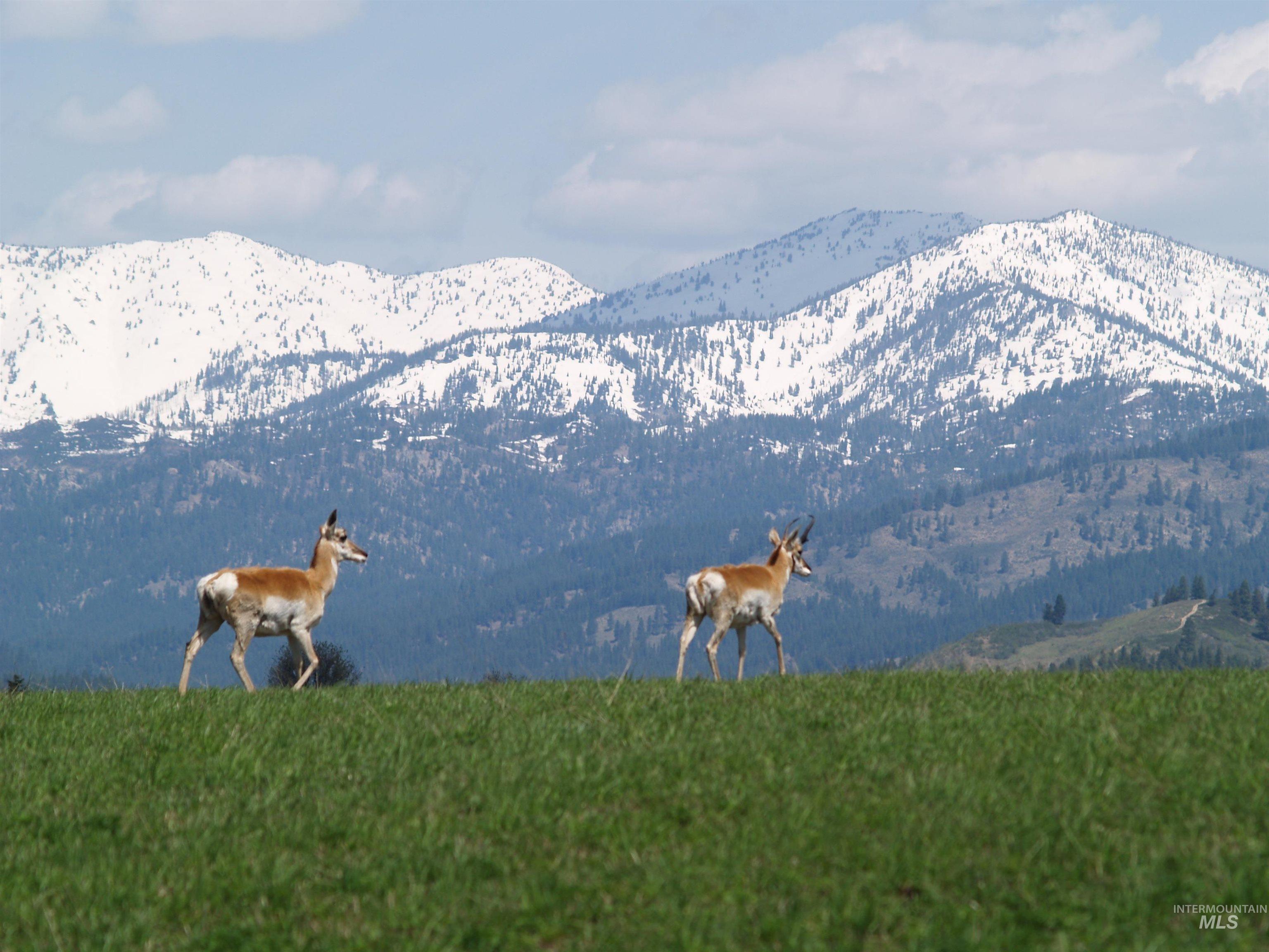 Northeast Little Camas Reservoir Road Mountain Home, ID 83647 - Photo 21 of 25